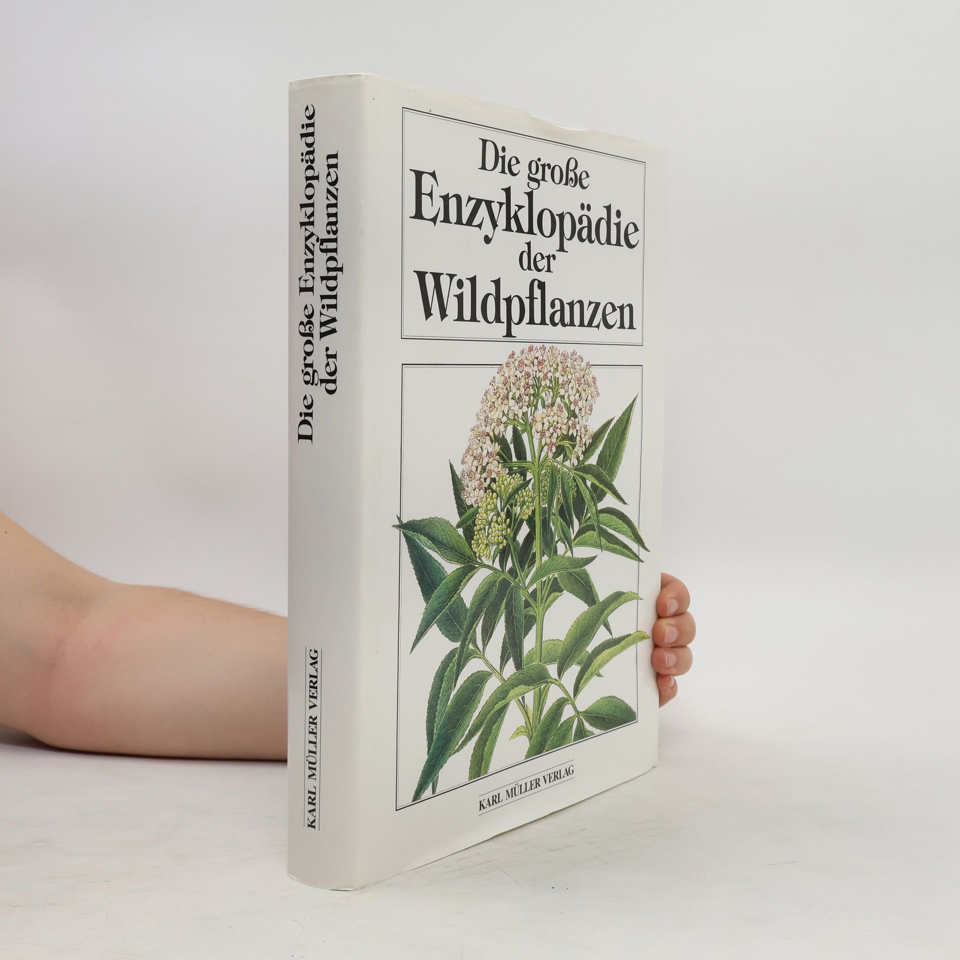 Zdenka Podhajská Die große Enzyklopädie der Wildpflanzen