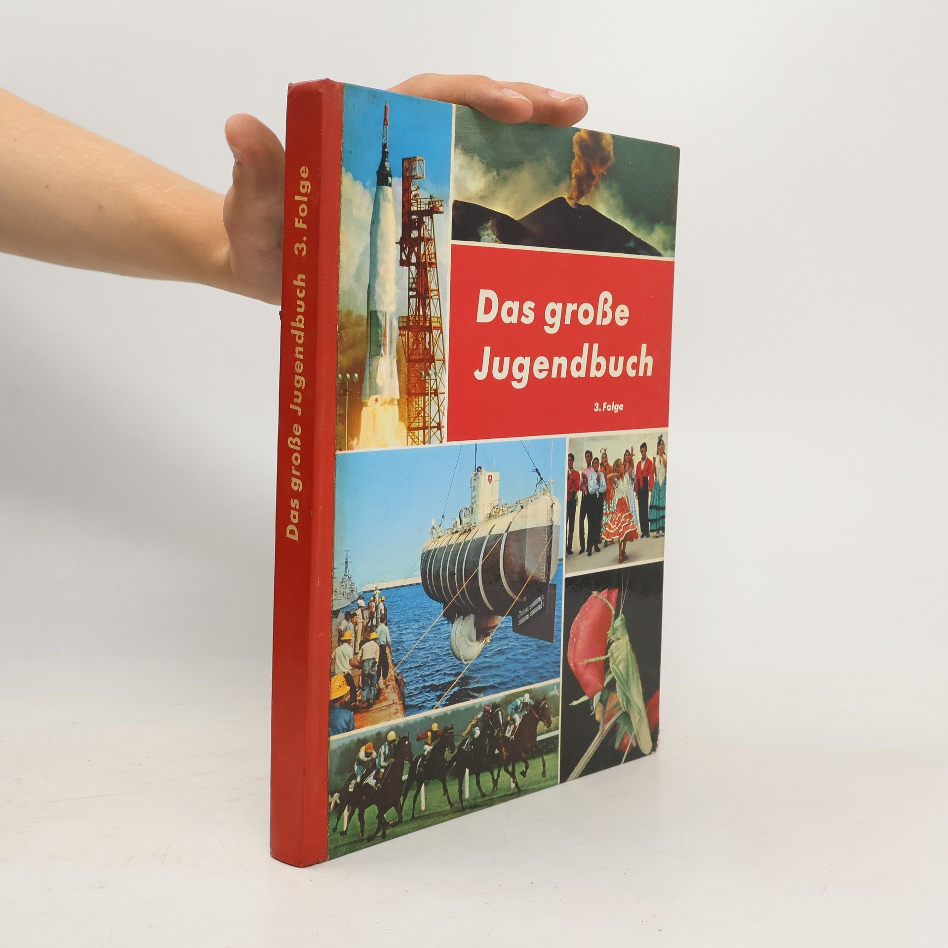 Collective Das grosse Jugendbuch. 3. Folge
