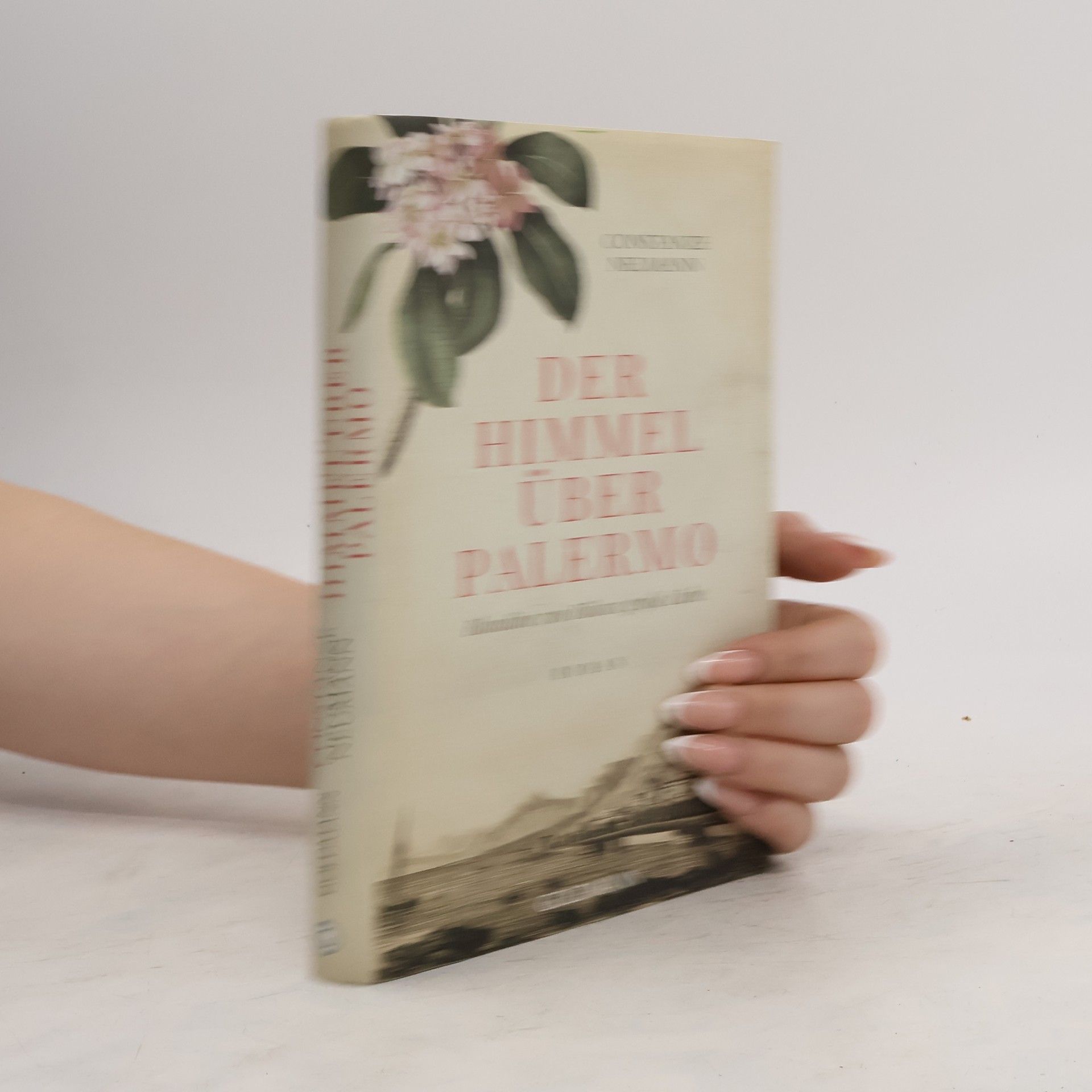 Constanze Neumann Der Himmel über Palermo