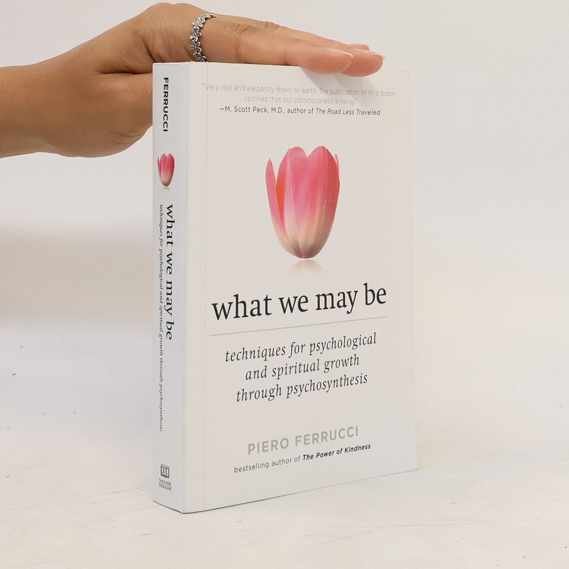 Piero Ferrucci What We May be