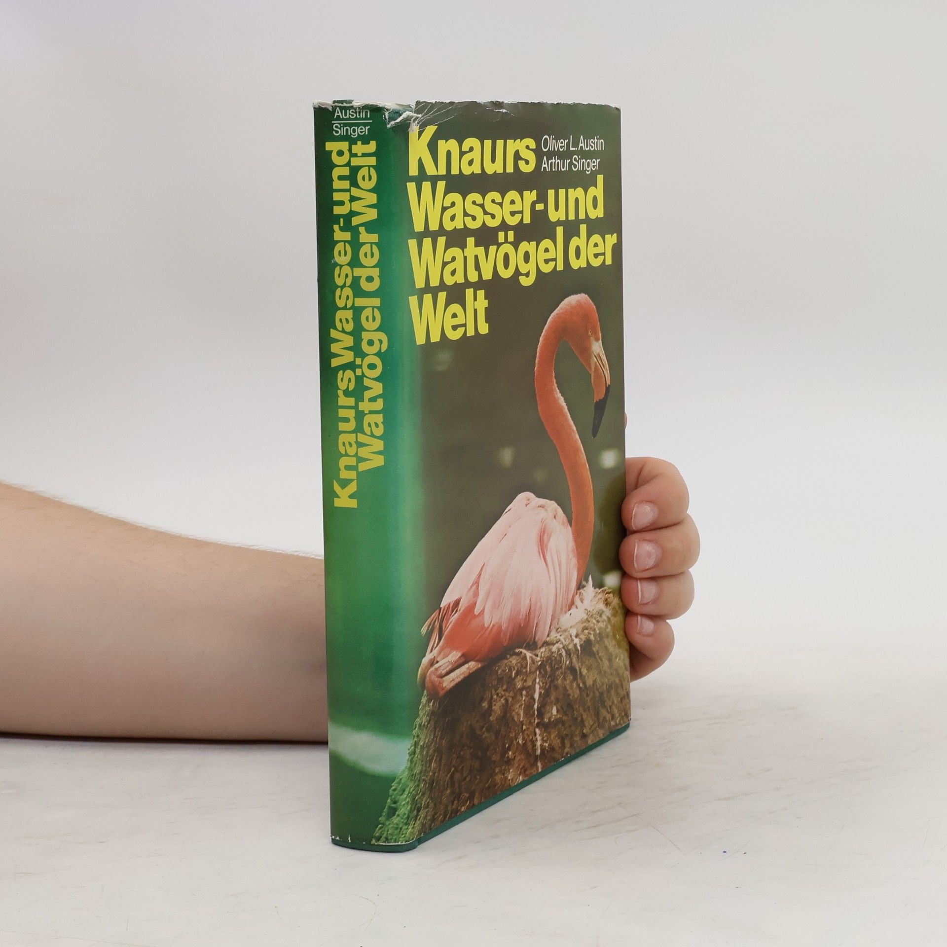 Oliver Luther Austin Knaurs Wasser-und Watvögel der Welt