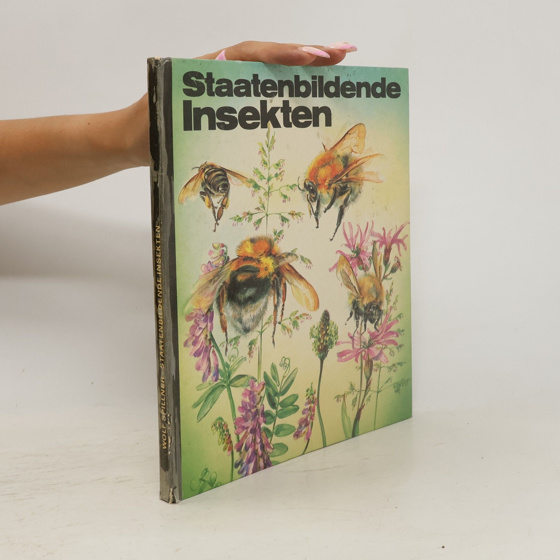 Wolf Spillner Staatenbildende Insekten