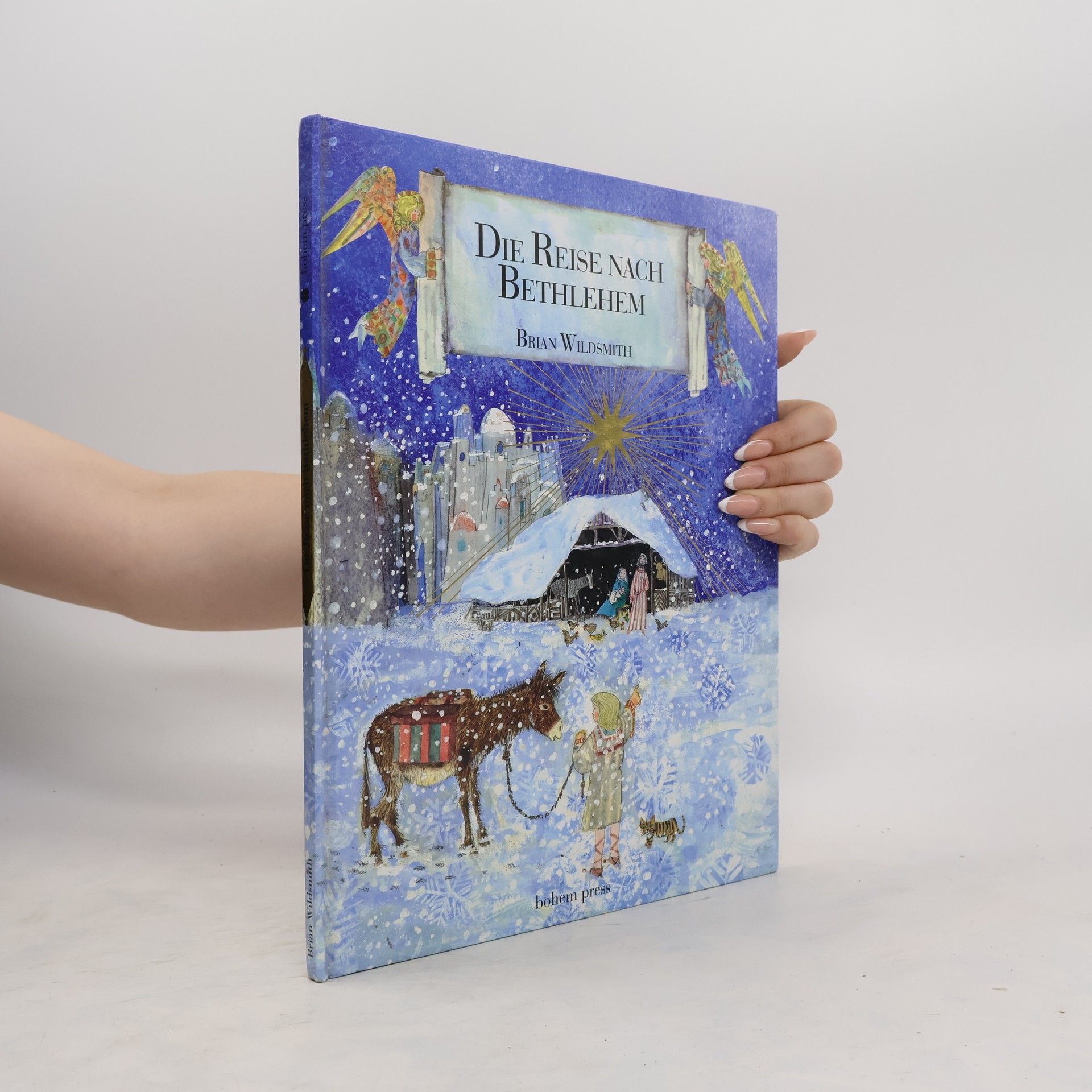 Brian Wildsmith Die Reise nach Bethlehem