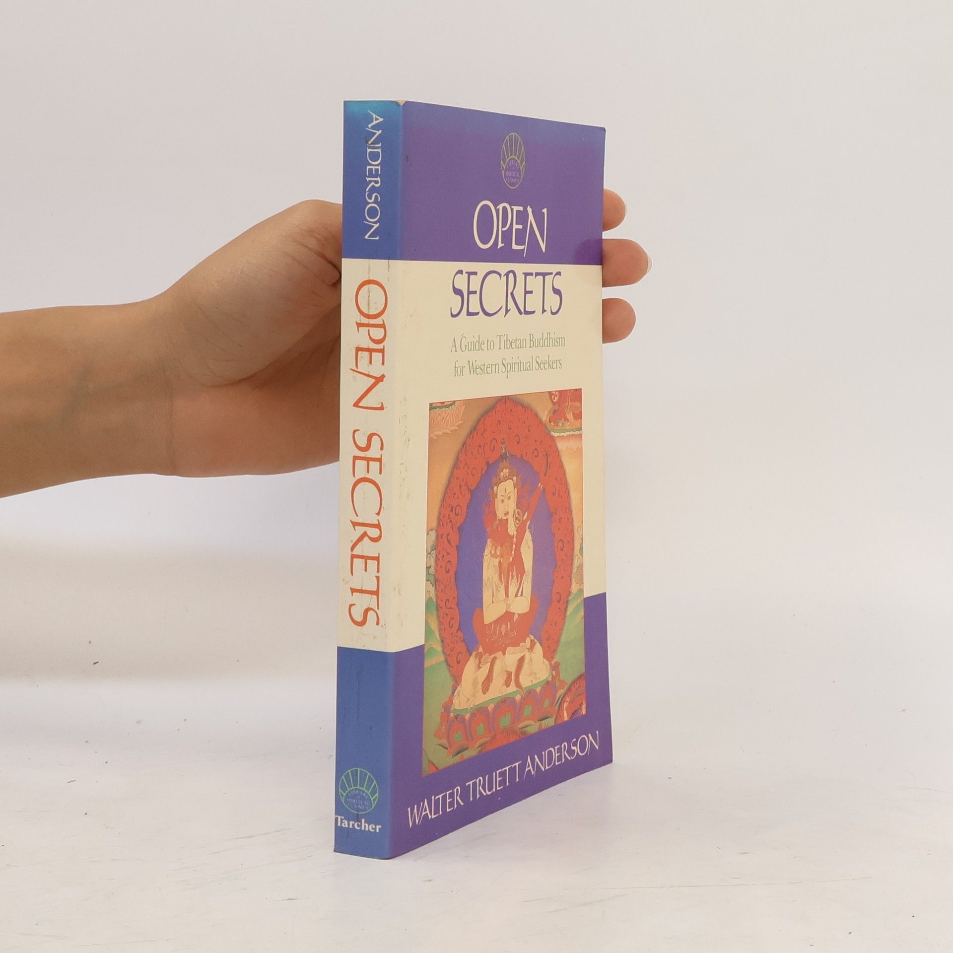 Walt Anderson Open Secrets