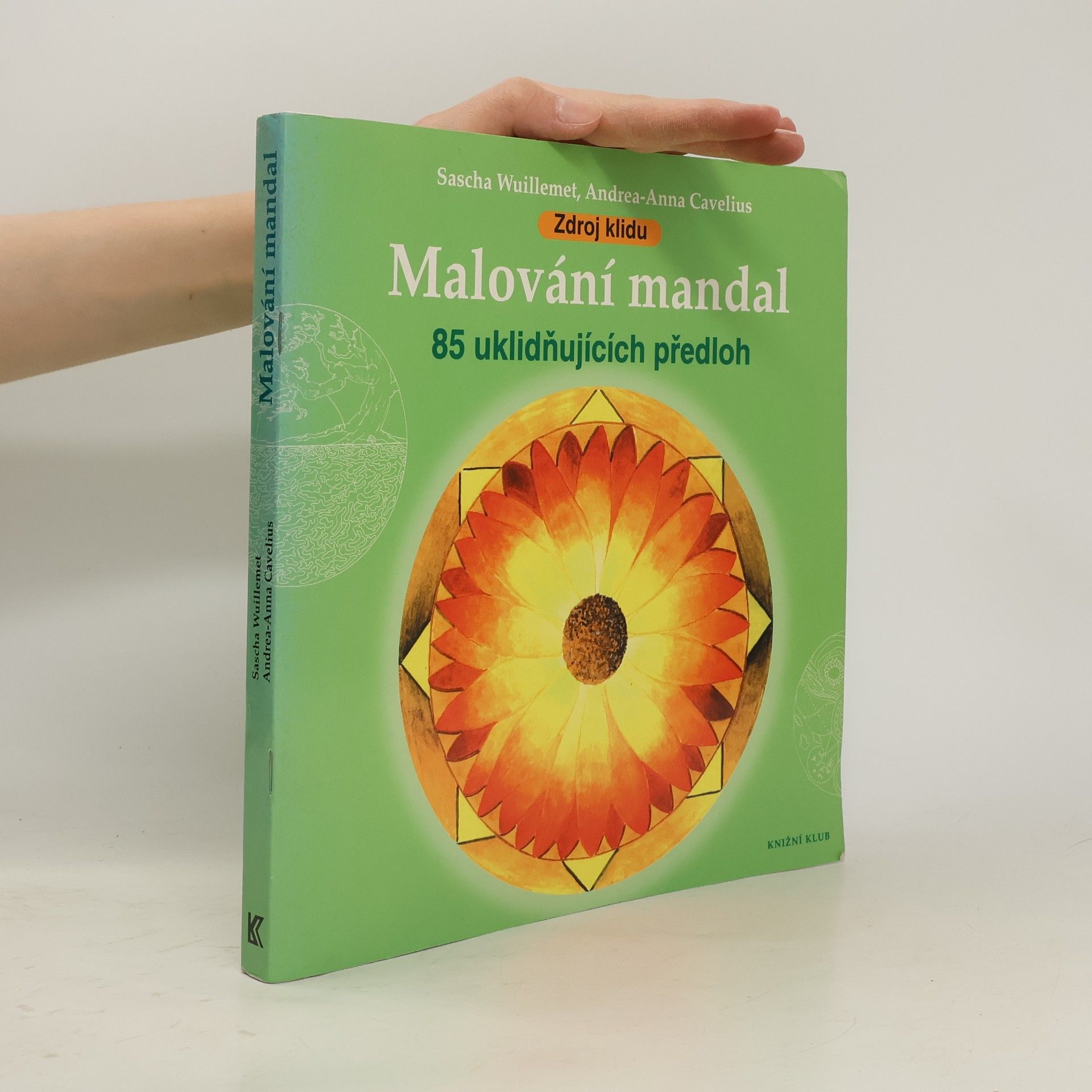 Sascha Wuillemet Malování mandal: Zdroj klidu : 85 uklidňujících předloh