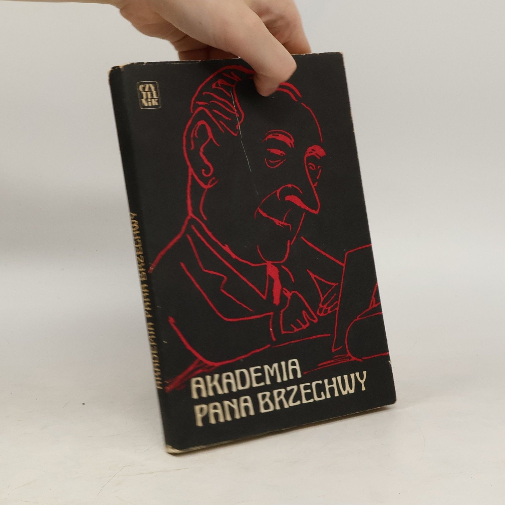 Collectif d'auteurs Akademia pana Brzechwy