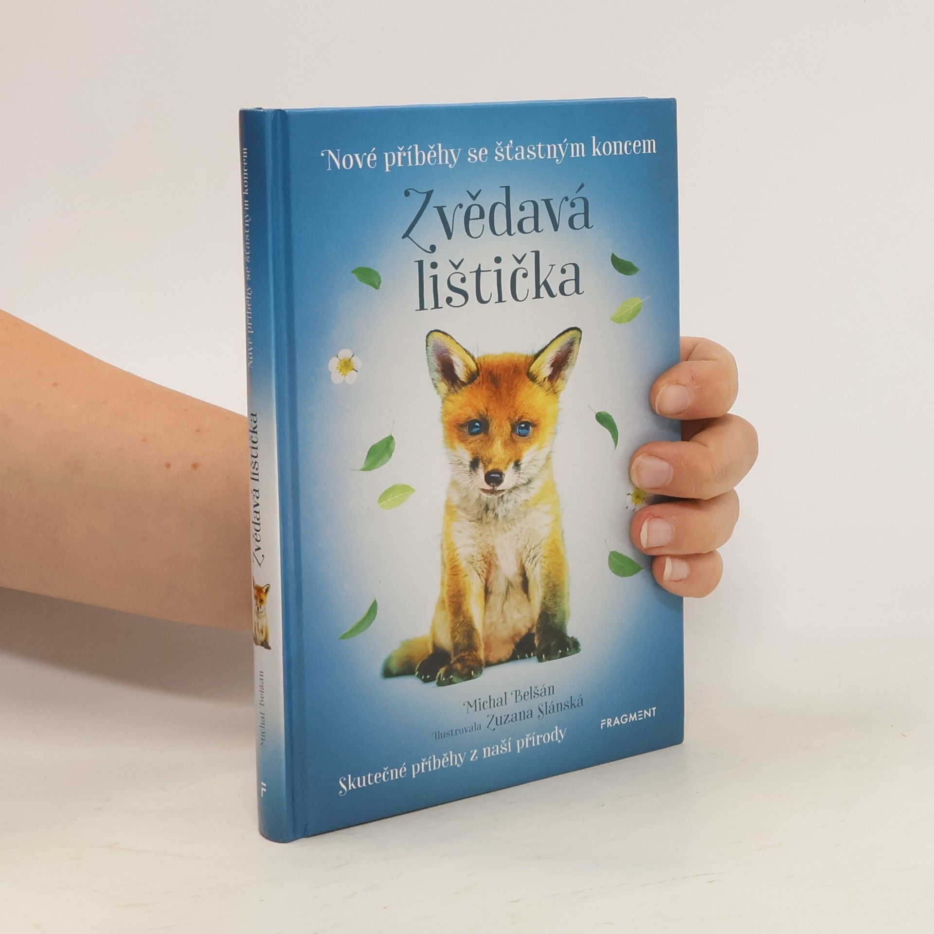 Michal Belšán Zvědavá lištička