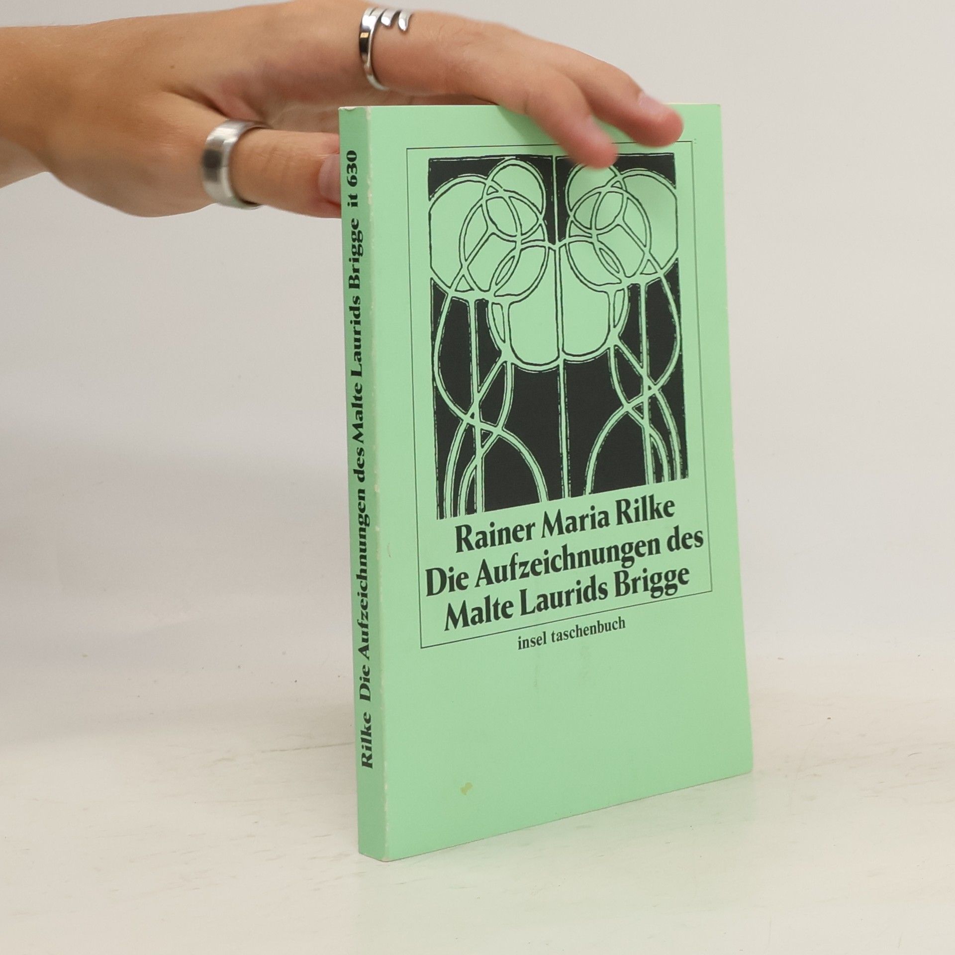 Rainer Maria Rilke Die Aufzeichnungen des Malte Laurids Brigge