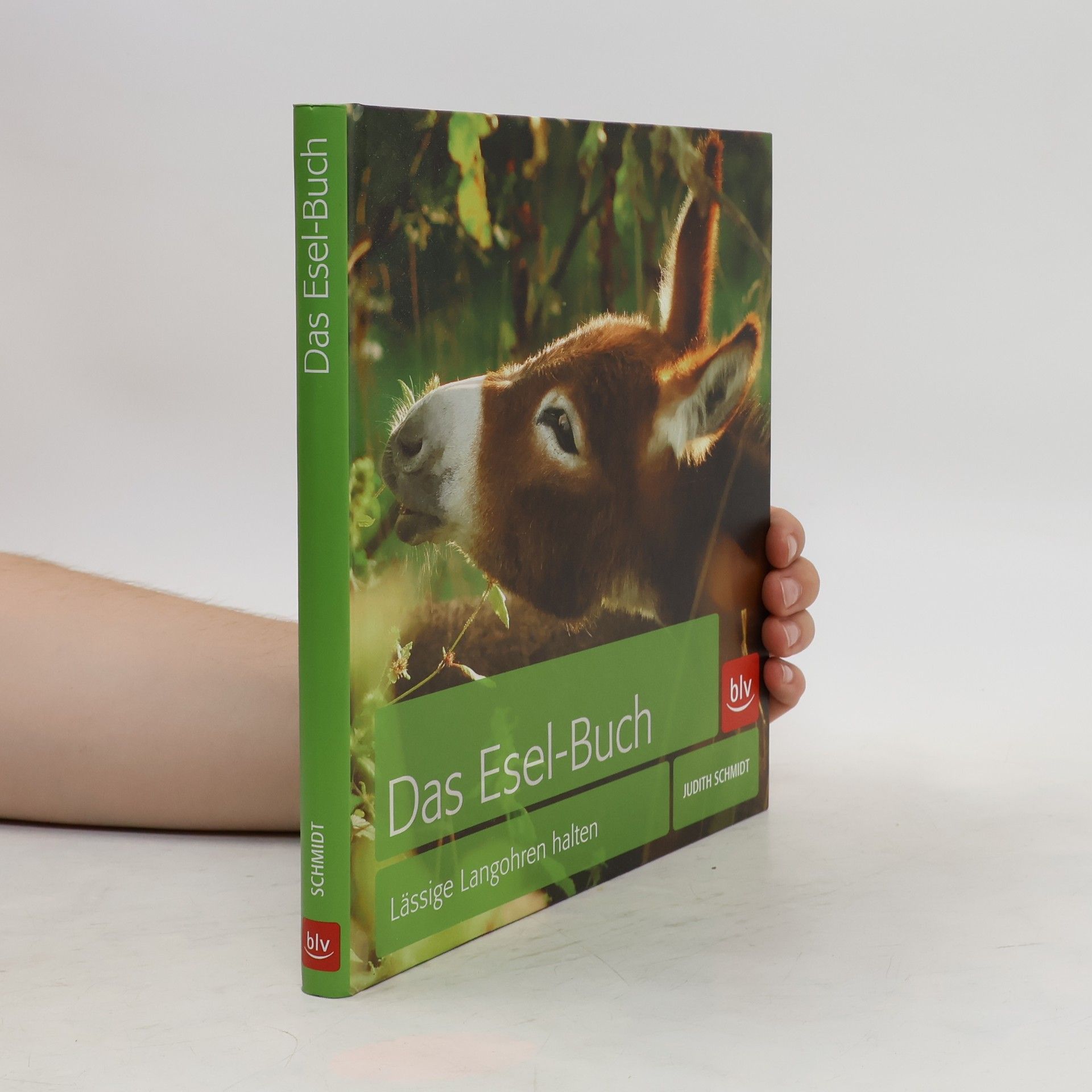Judith Schmidt Das Esel-Buch