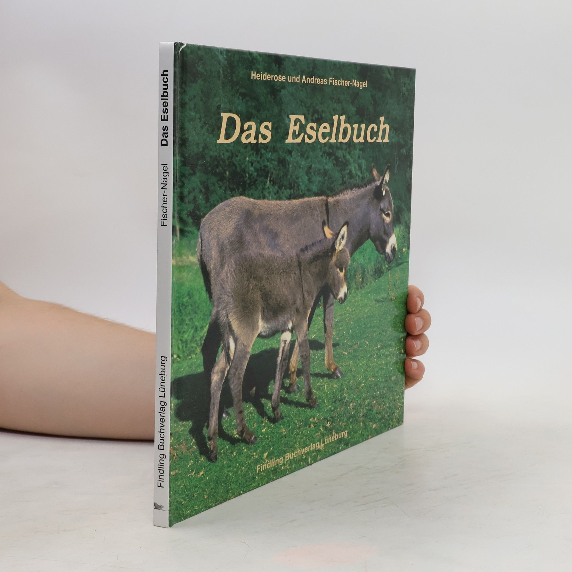Heiderose Fischer-Nagel Das Eselbuch