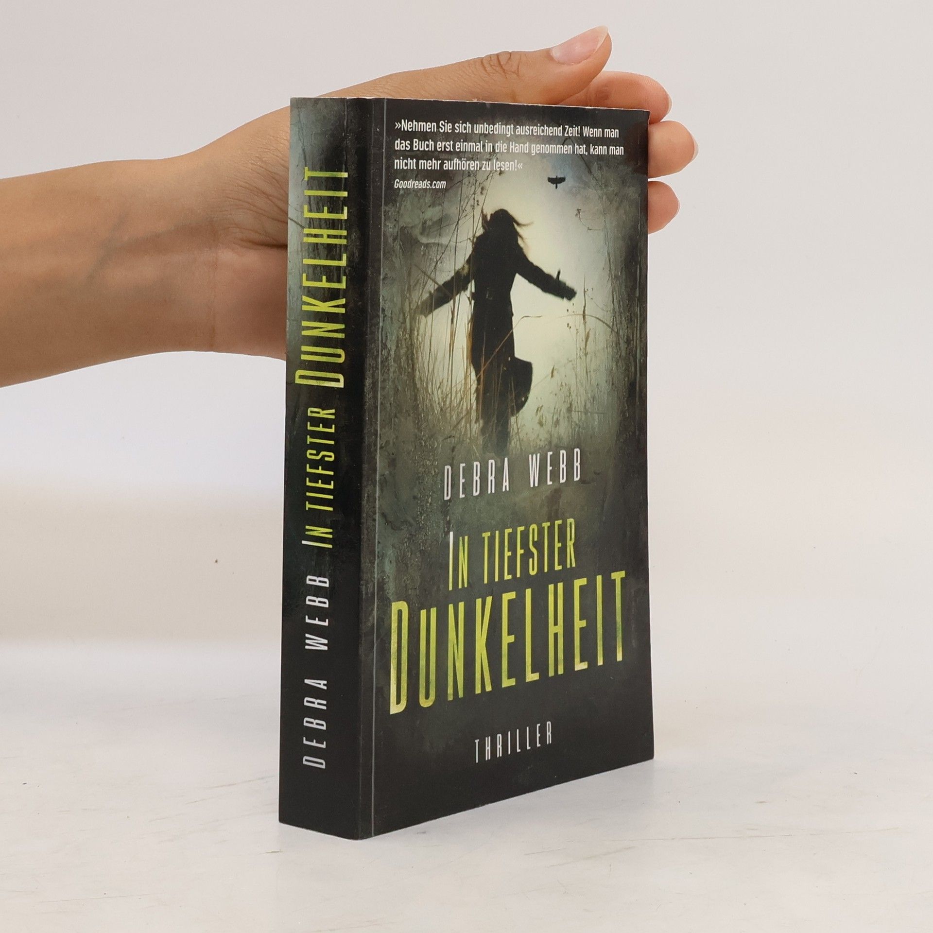 Debra Webb In der Dunkelheit