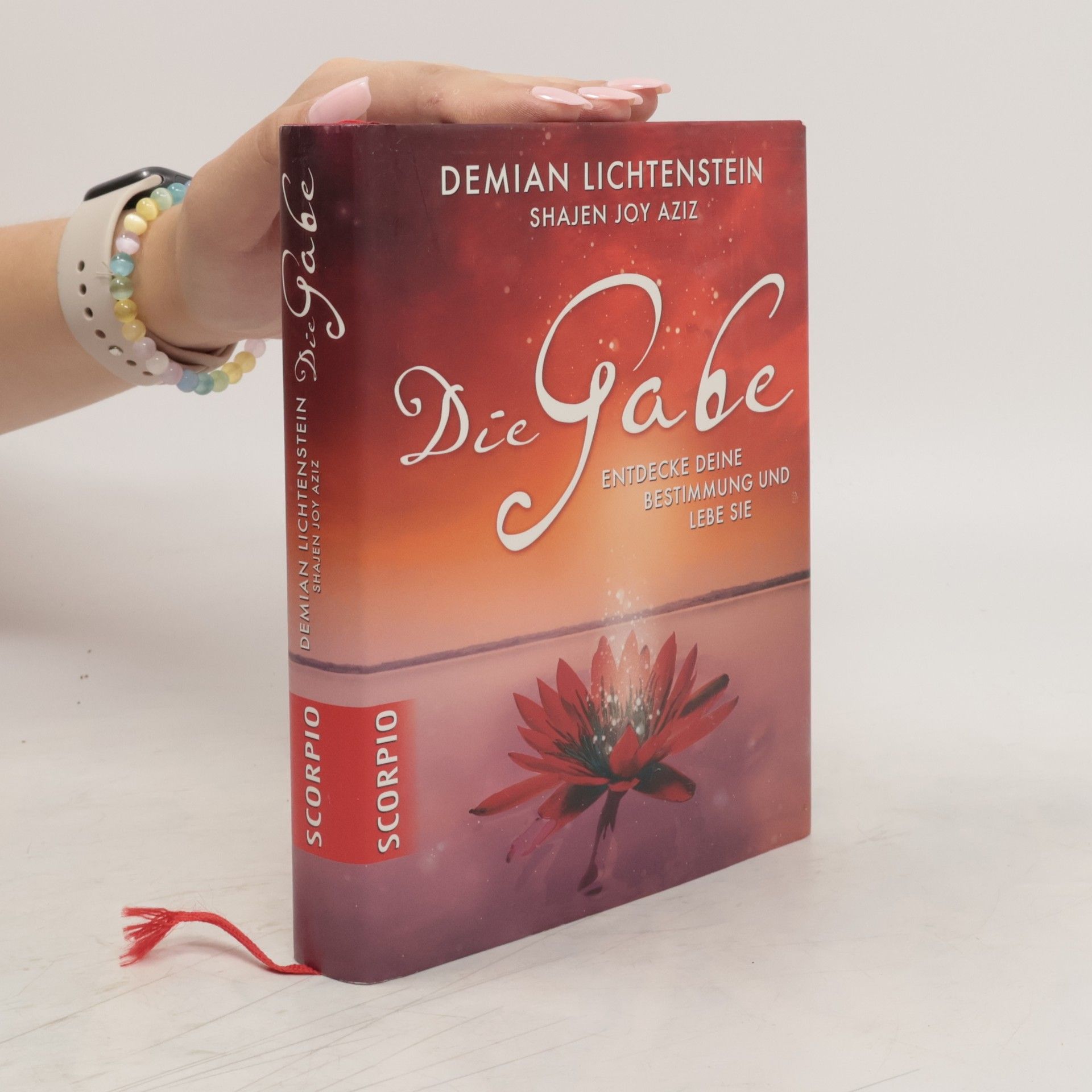 Demian Lichtenstein Die Gabe