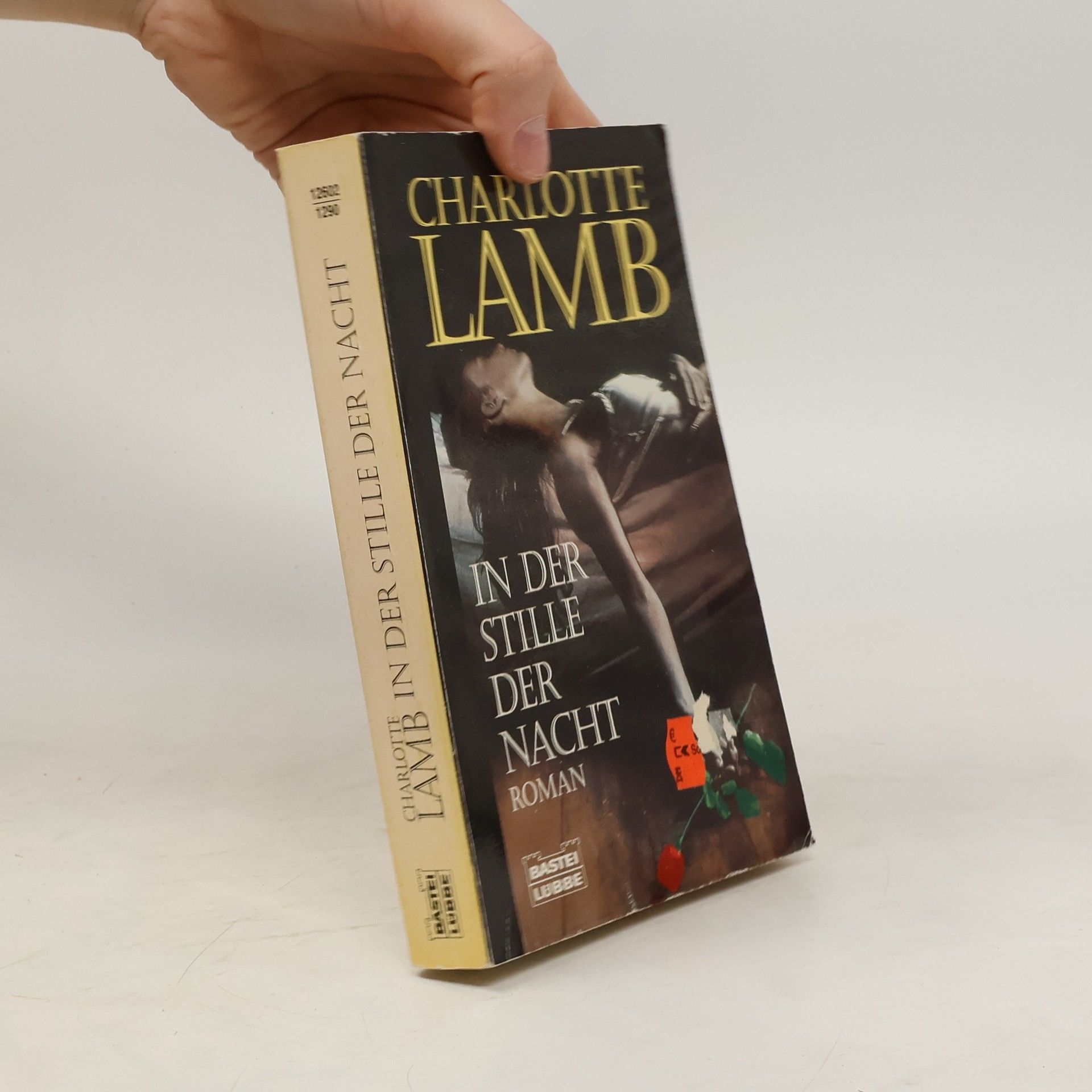Charlotte Lamb In der Stille der Nacht