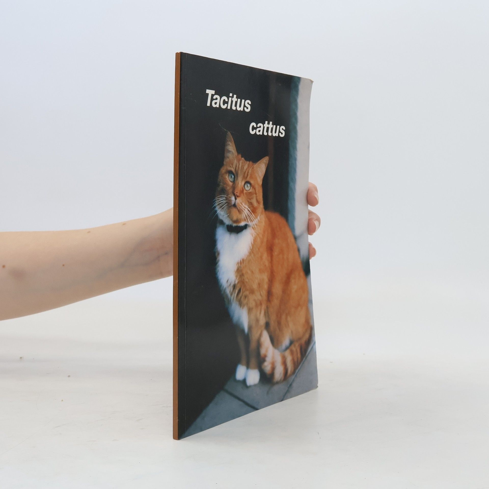 Mercedes Gonzalez-Haba Tacitus cattus