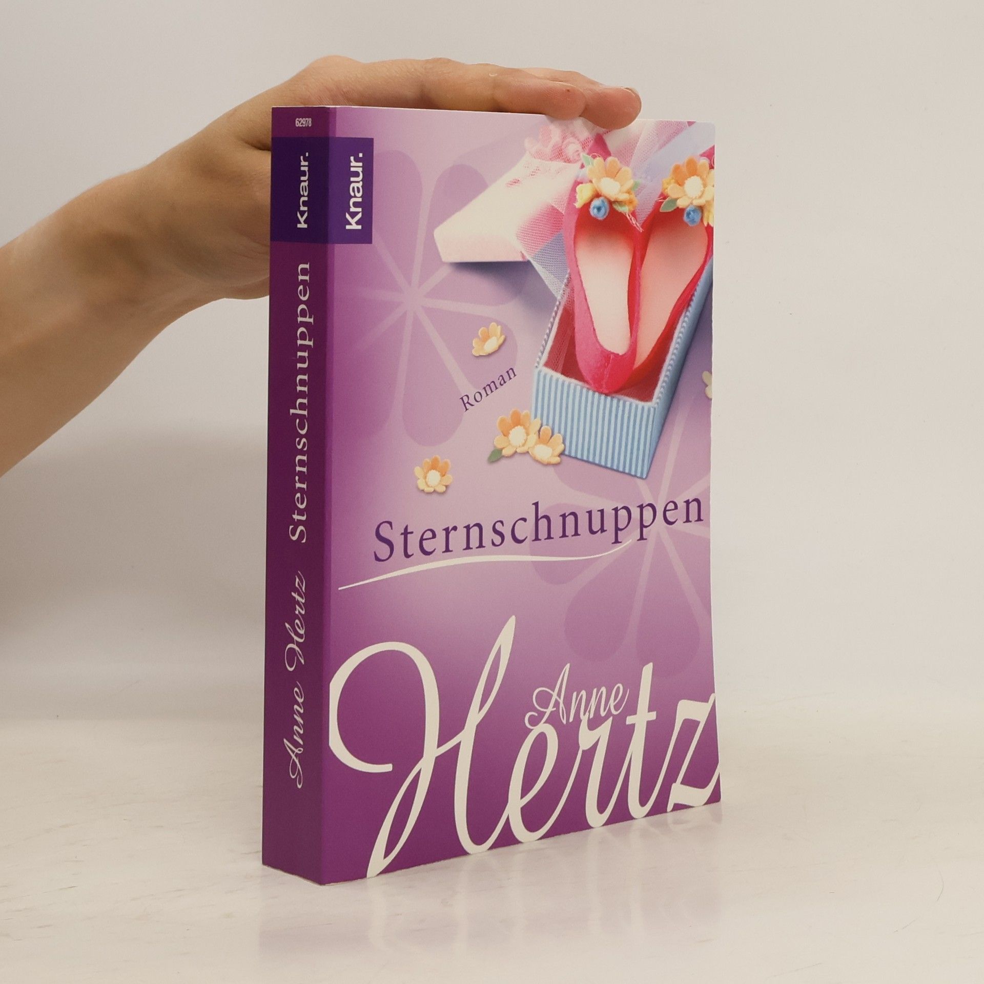 Anne Hertz Sternschnuppen