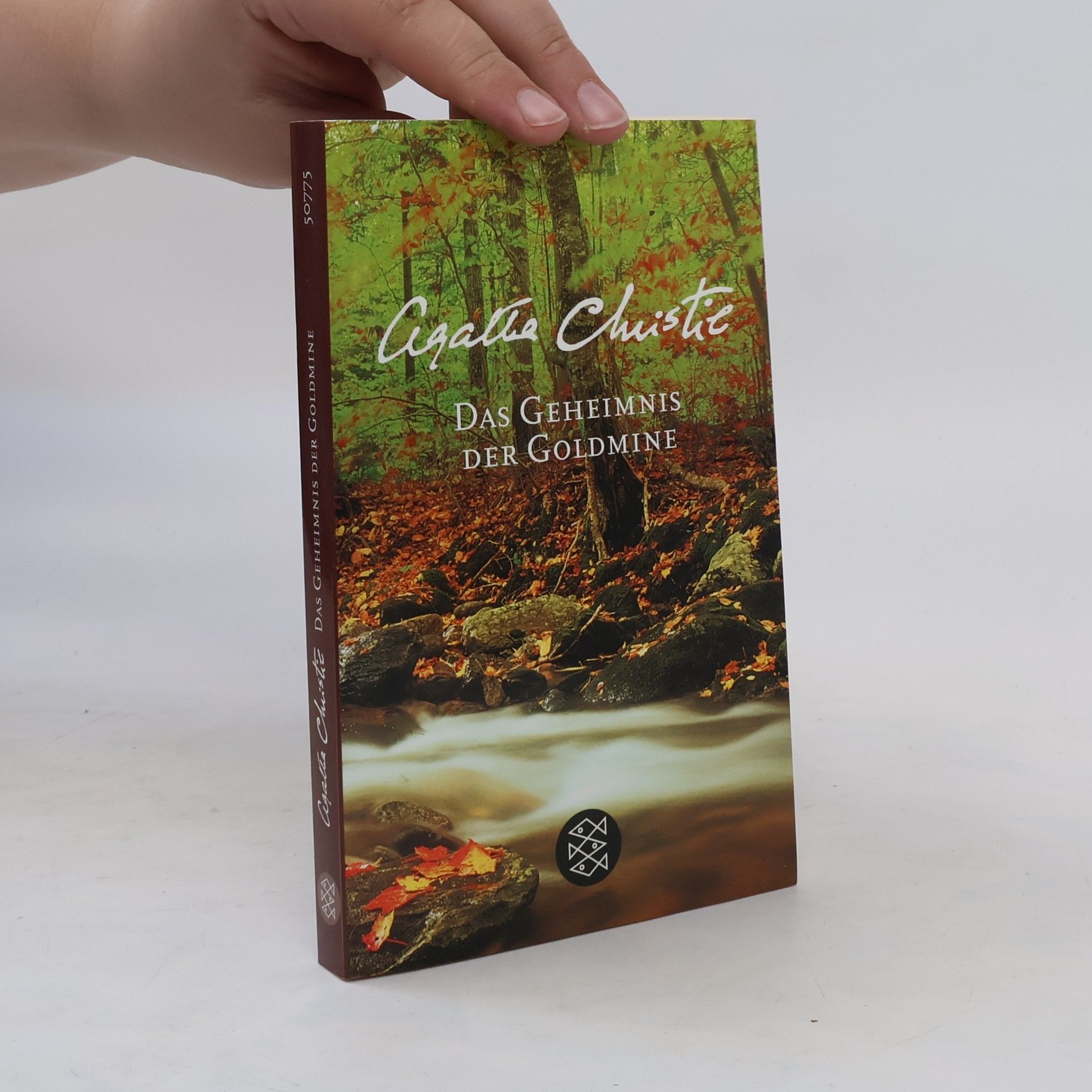 Agatha Christie Das Geheimnis der Goldmine