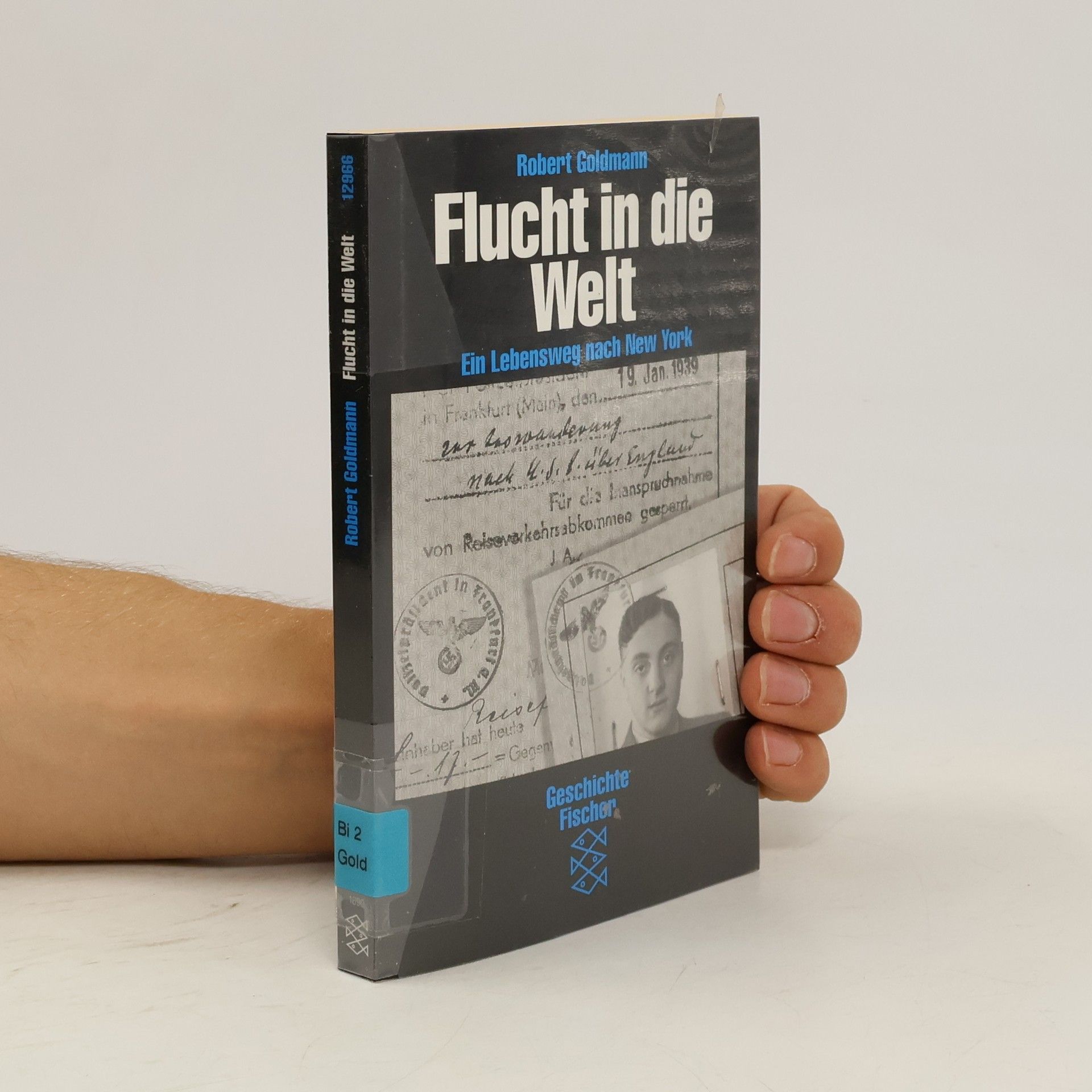 Robert Goldmann Flucht in die Welt. Ein Lebensweg nach New York