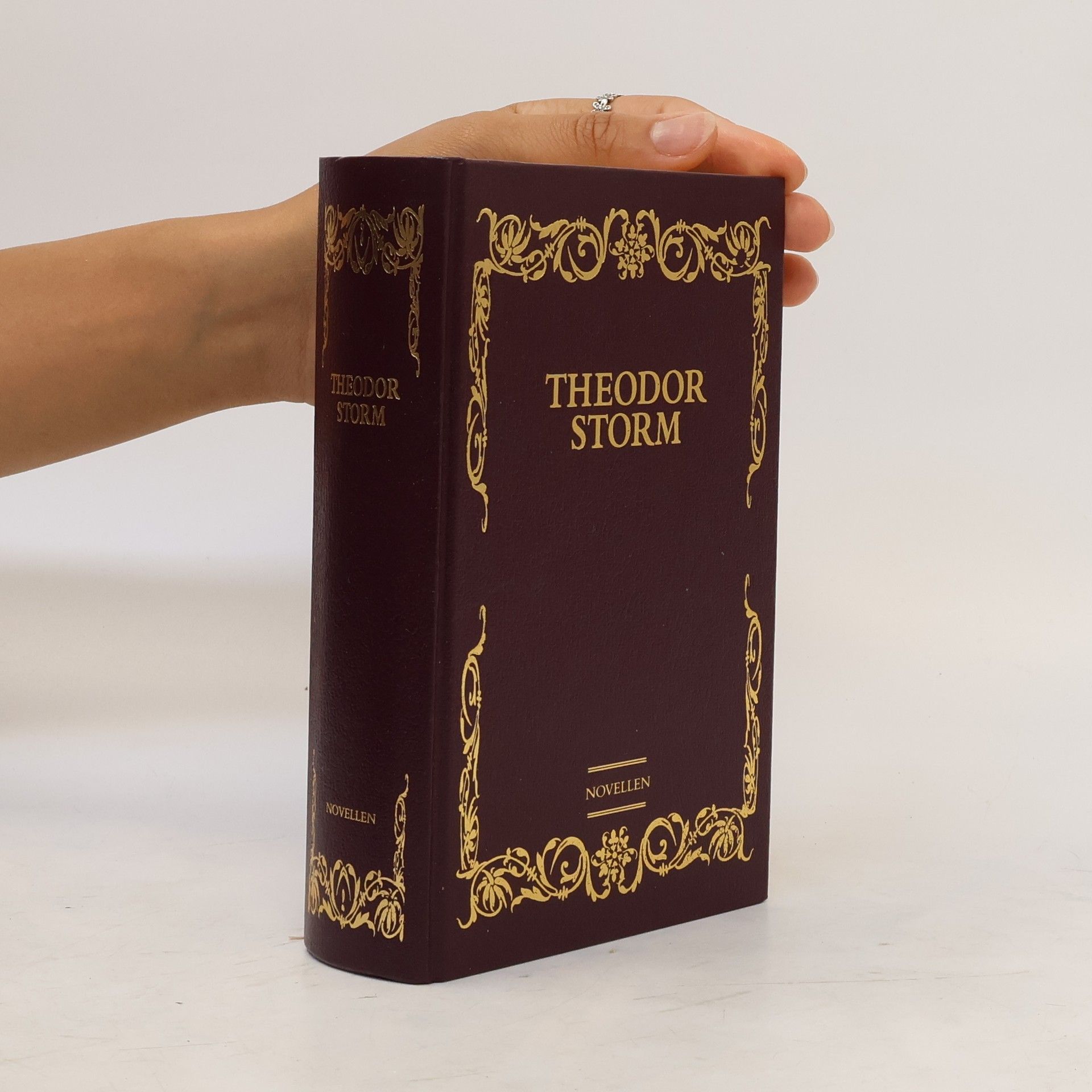 Theodor Storm Novellen