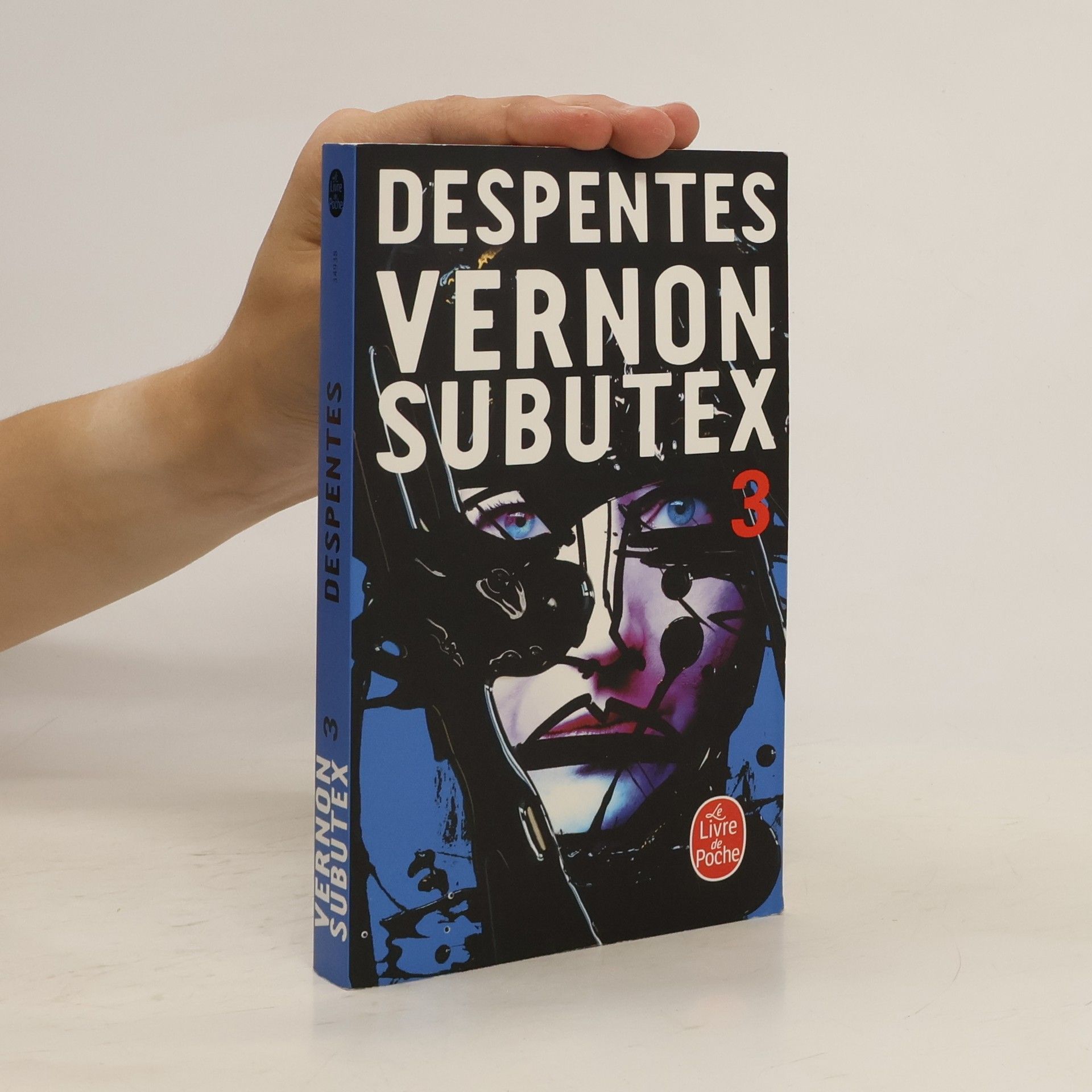 Virginie Despentes Vernon Subutex. Tome 3