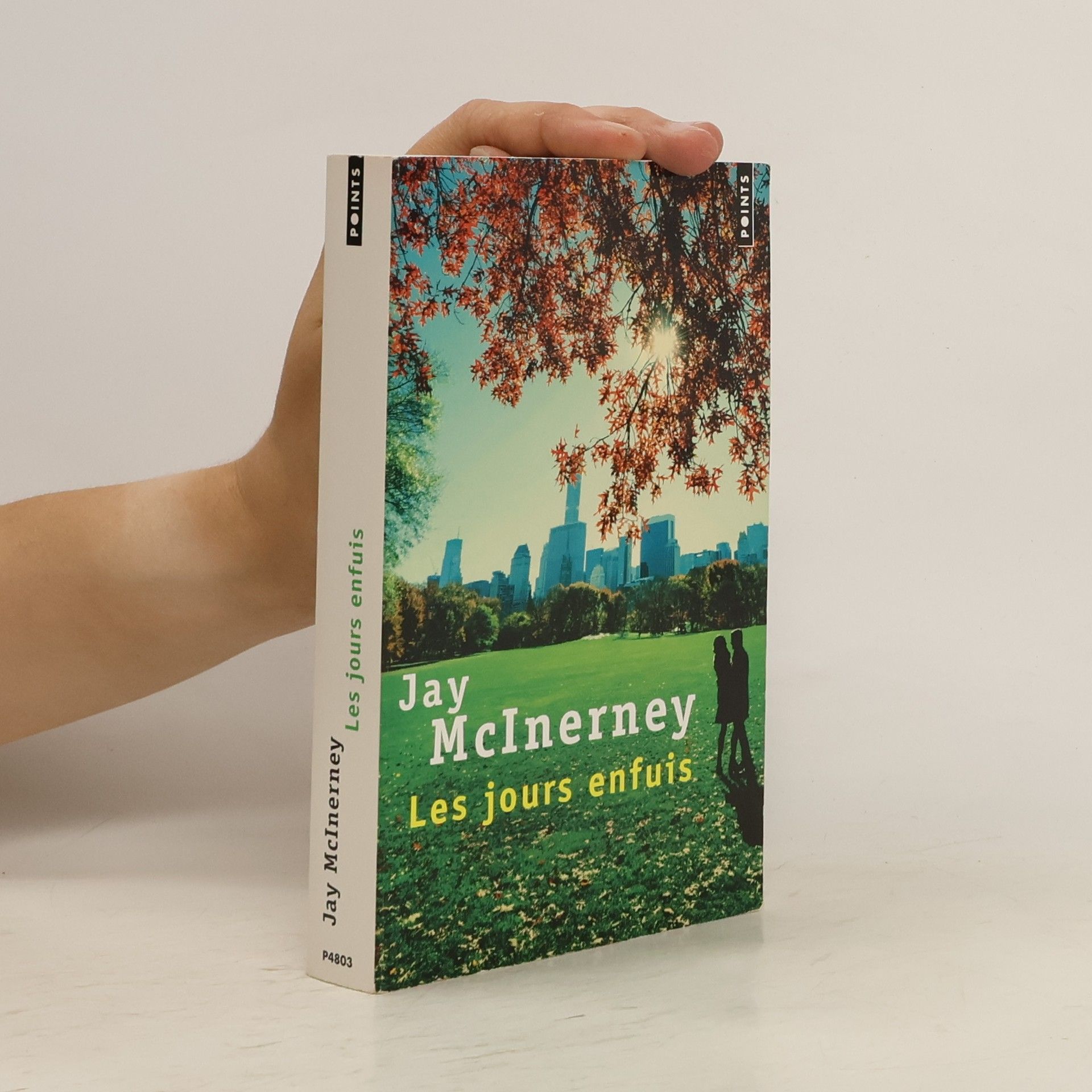 Jay McInerney Les jours enfuis