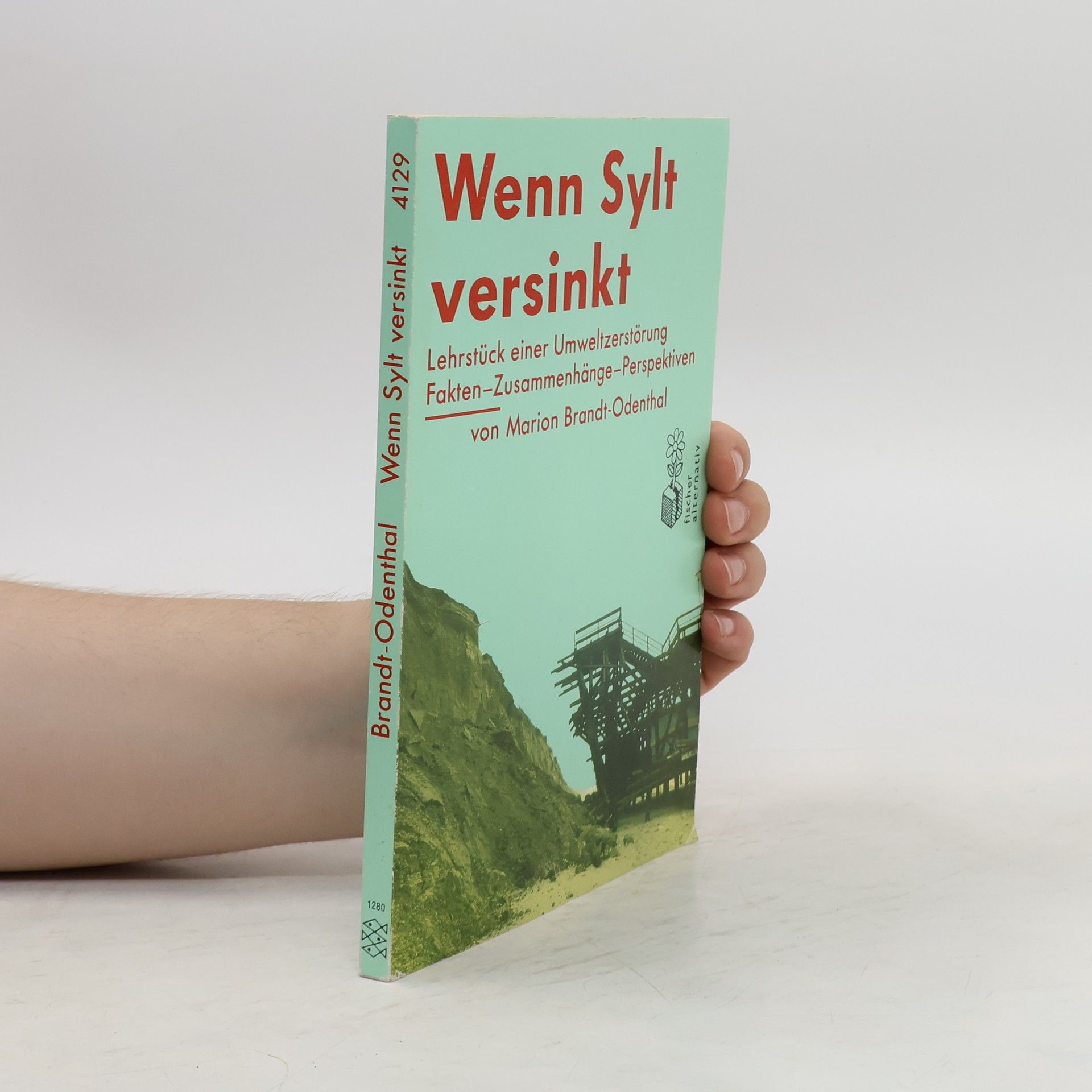 Marion Brandt-Odenthal Wenn Sylt versinkt