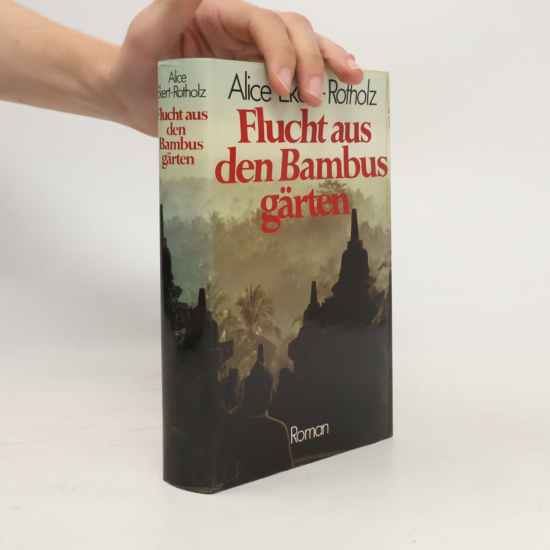 Alice Ekert-Rotholz Flucht aus den Bambusgärten