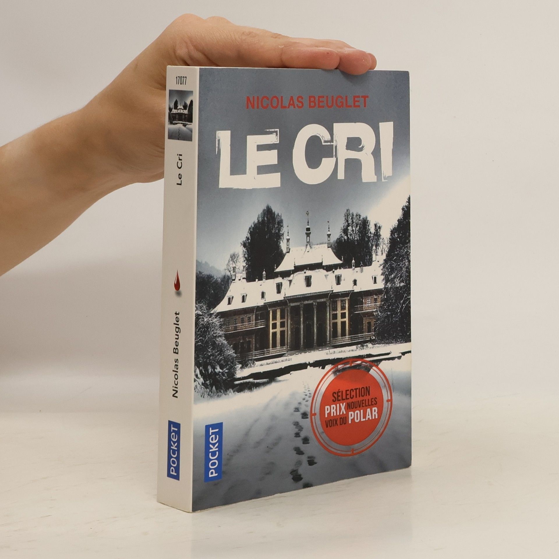 Nicolas Beuglet Le cri