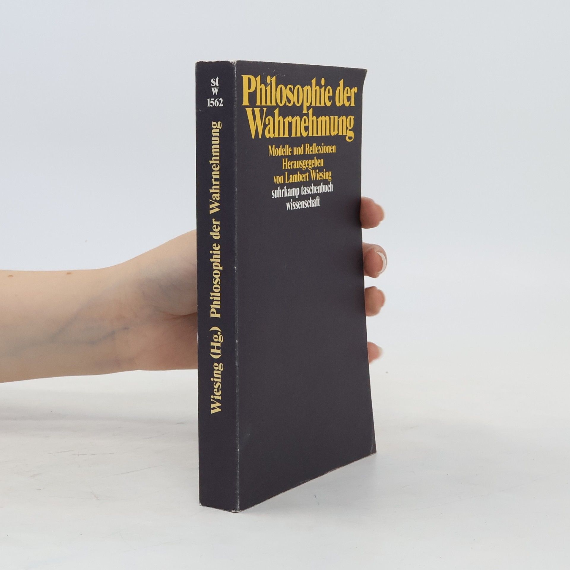Lambert Wiesing Philosophie der Wahrnehmung