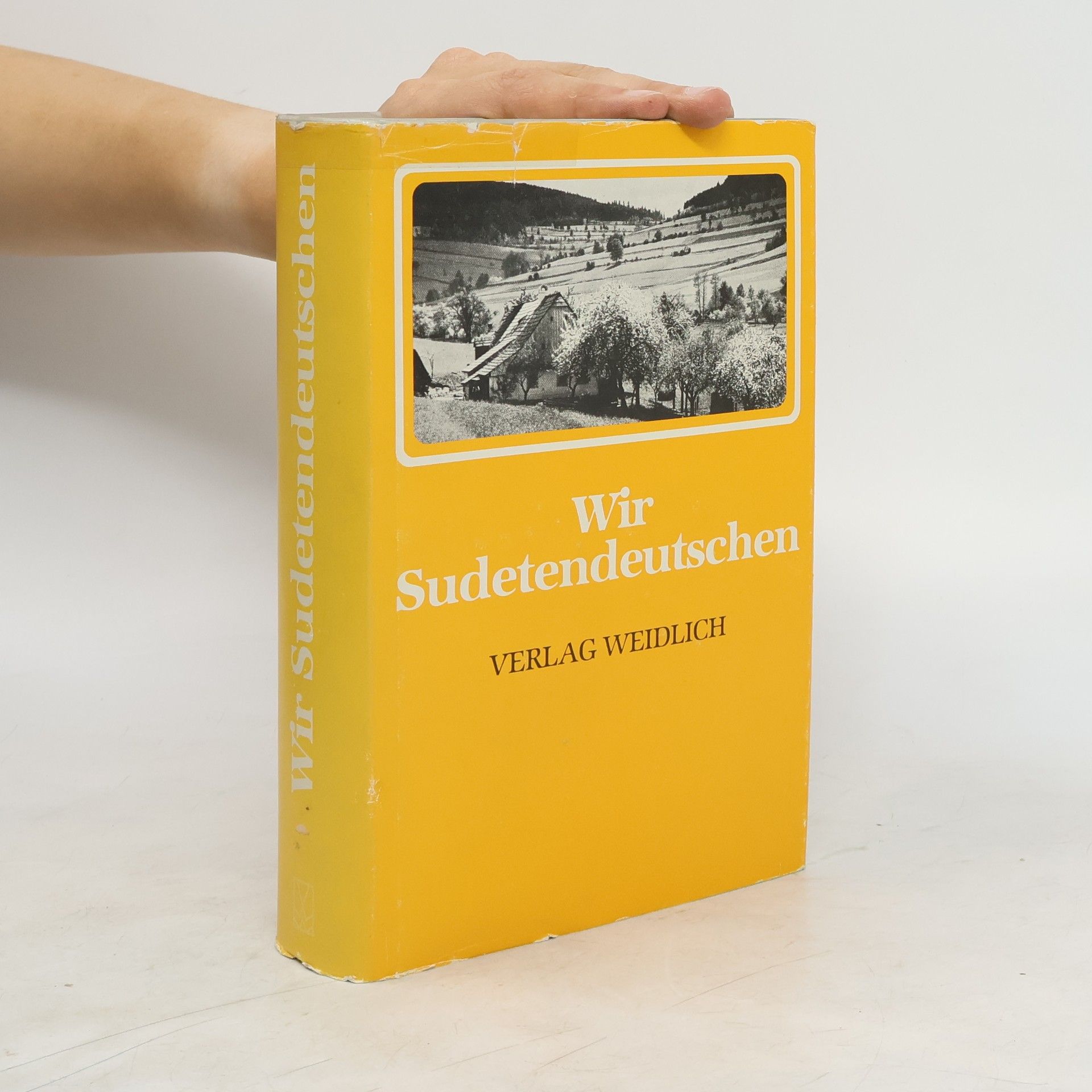 Wilhelm Pleyer Wir Sudetendeutschen