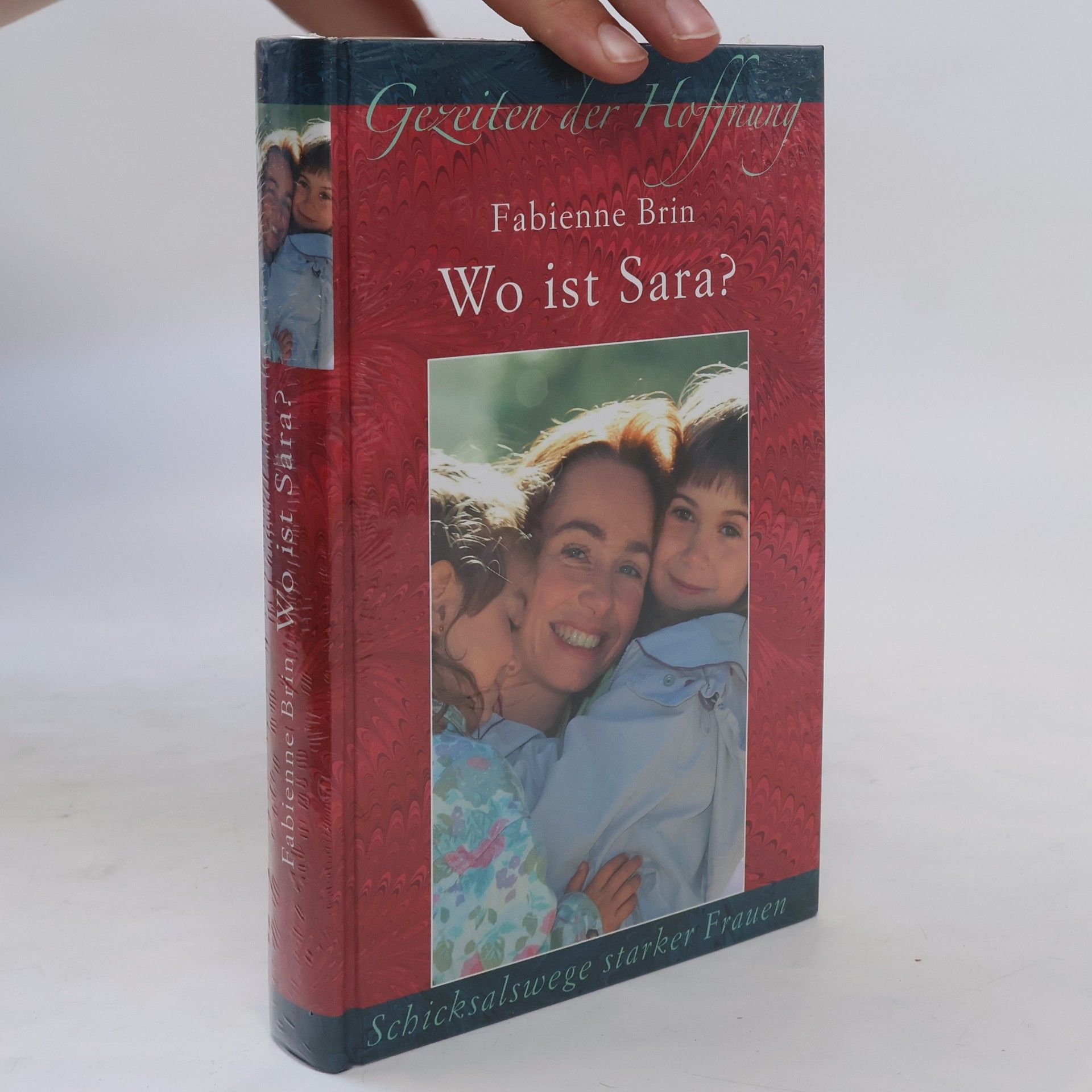 Brin Fabienne Wo ist Sara?