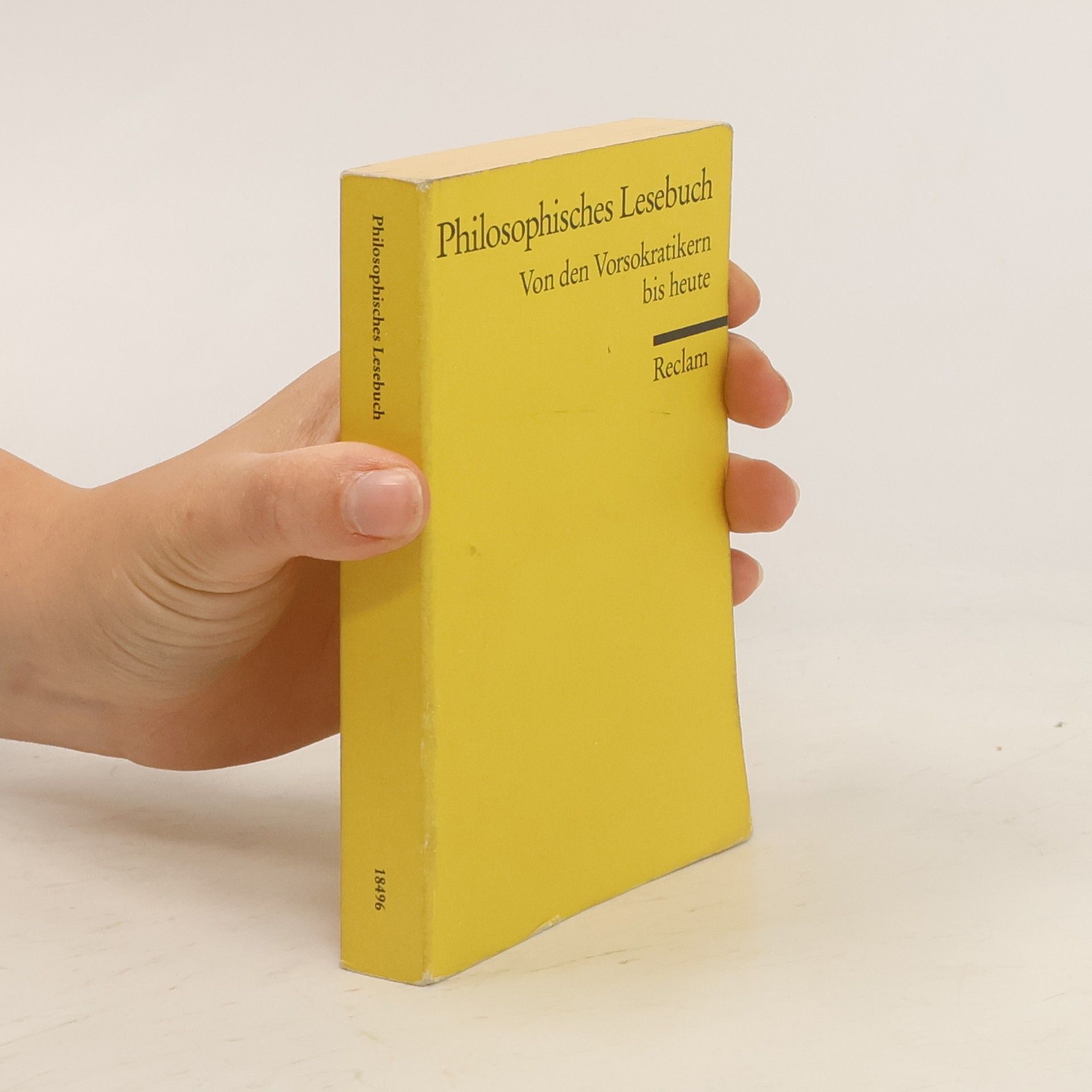 Volker Steenblock Philosophisches Lesebuch
