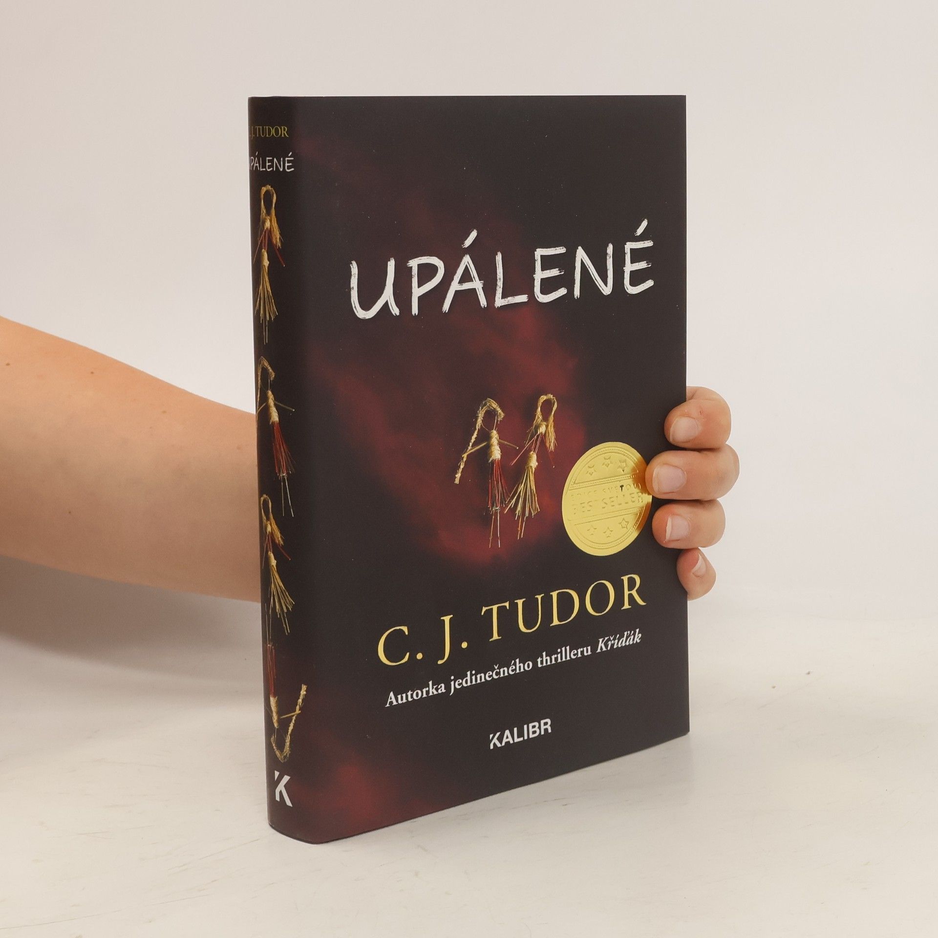 C. J. Tudor Upálené