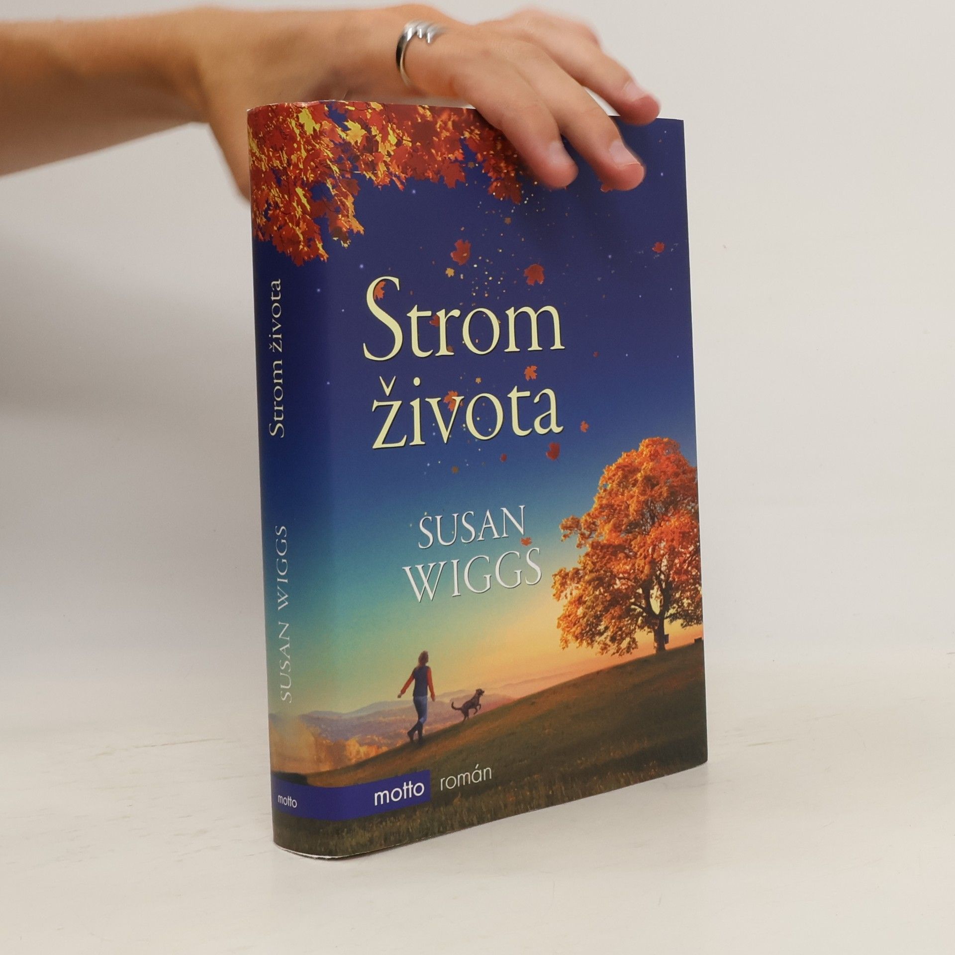 Susan Wiggs Strom života