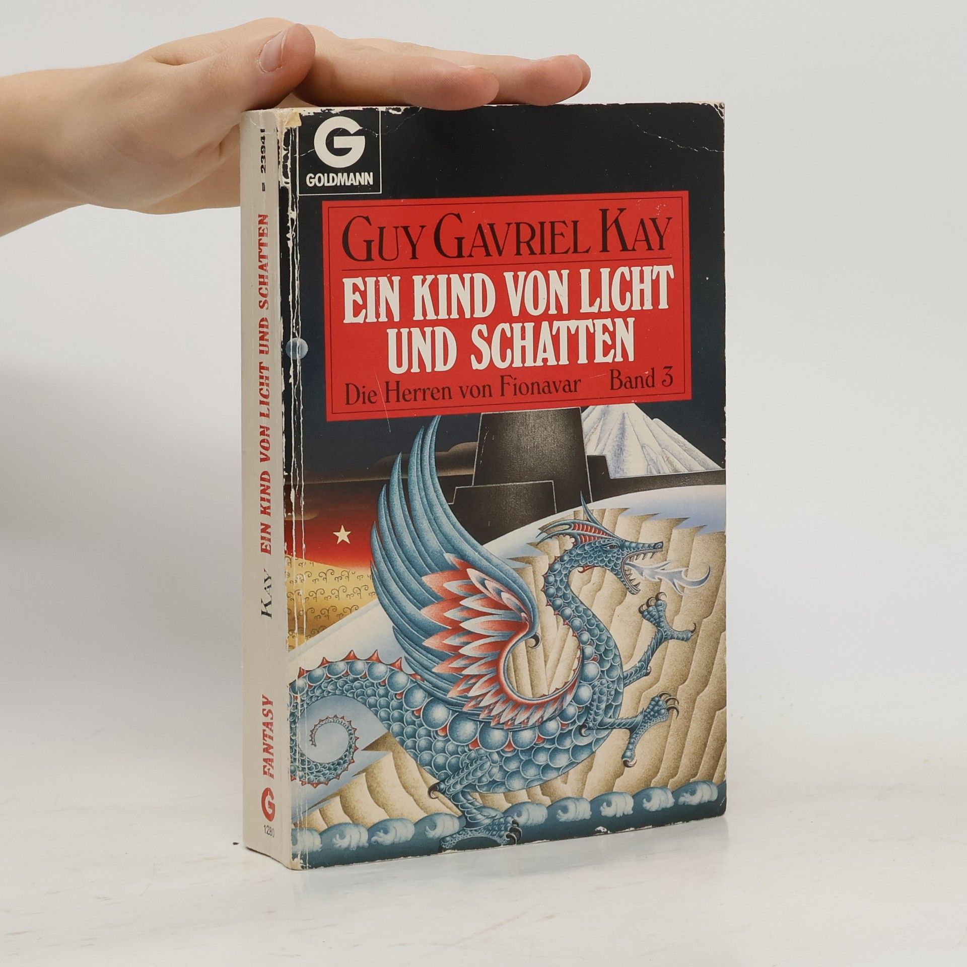 Guy Gavriel Kay Ein kind von licht und schatten
