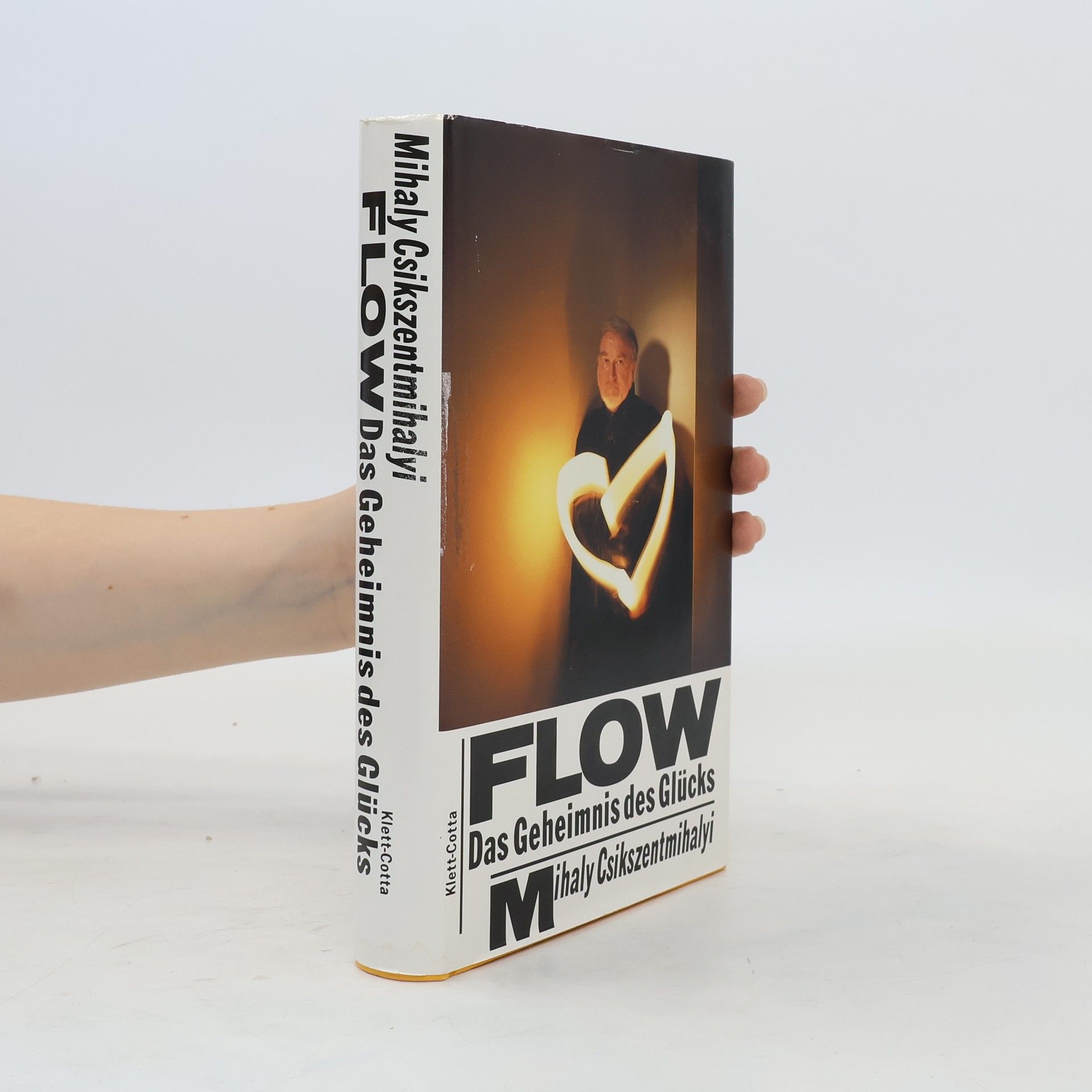 Mihaly Csikszentmihalyi FLOW Das Geheimnis des Glücks