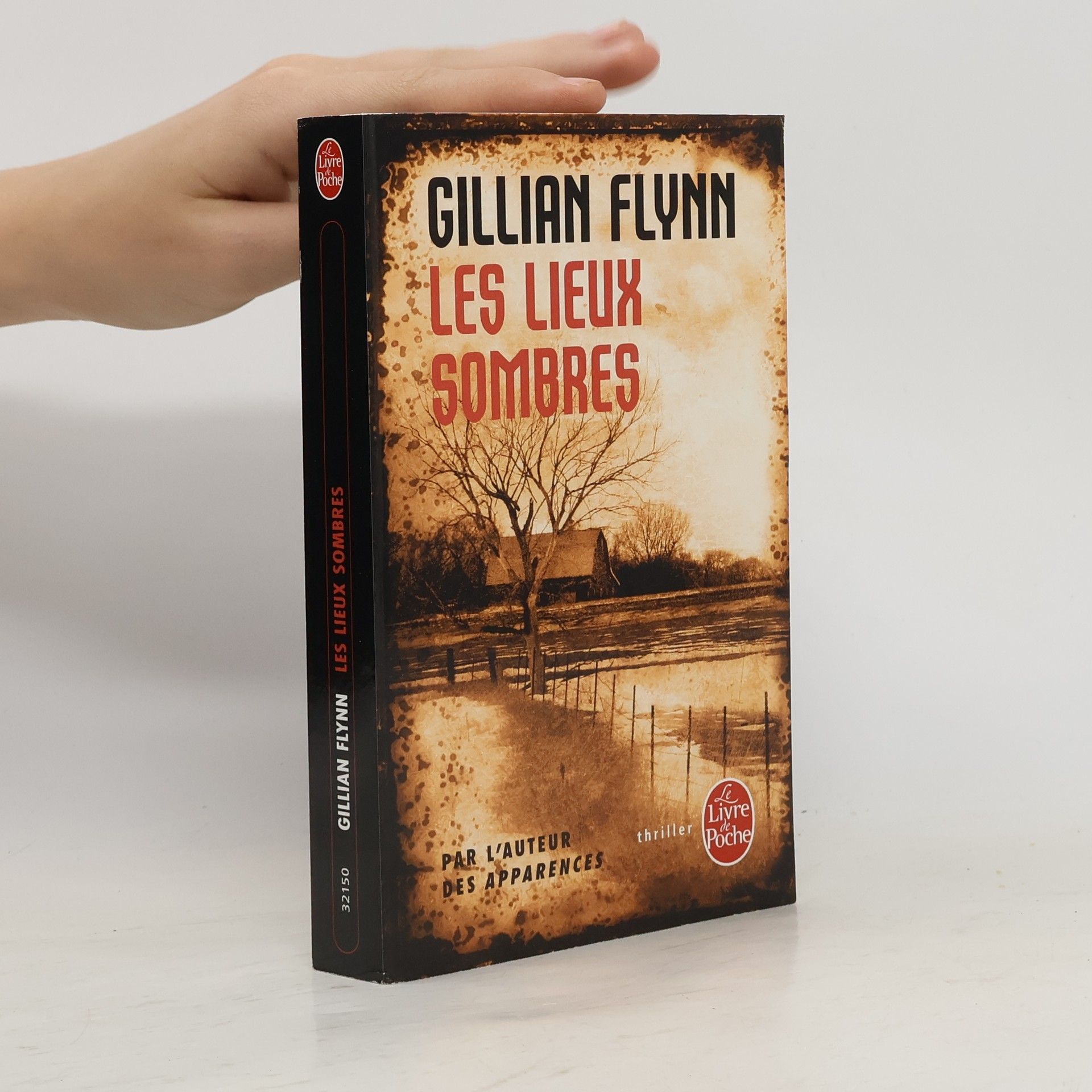 Gillian Flynn Les lieux sombres