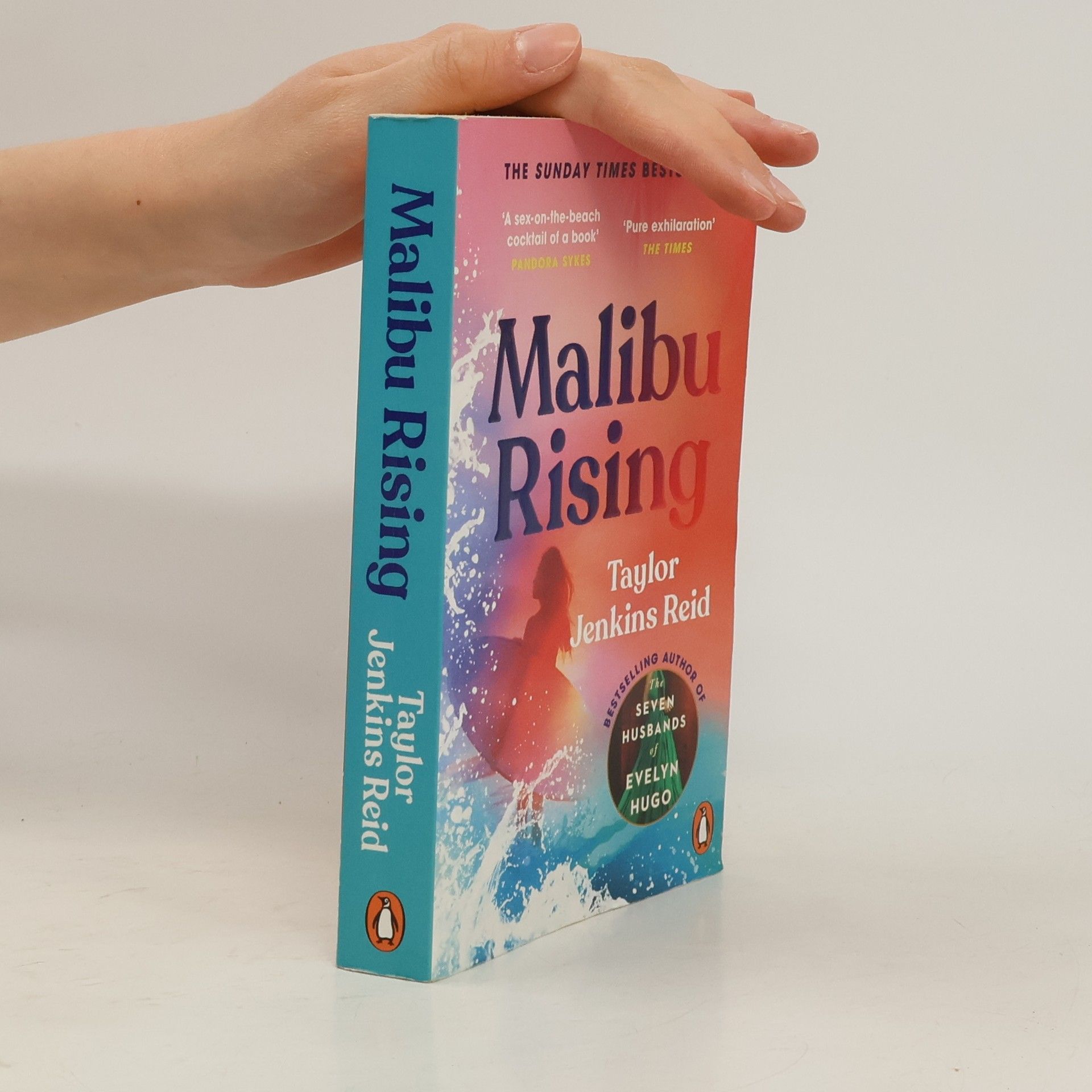 Taylor Jenkins Reid Malibu Rising