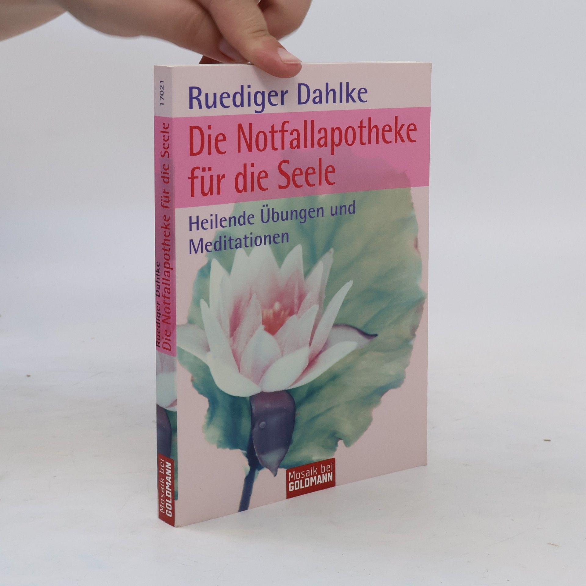 Ruediger Dahlke Die Notfallapotheke für die Seele