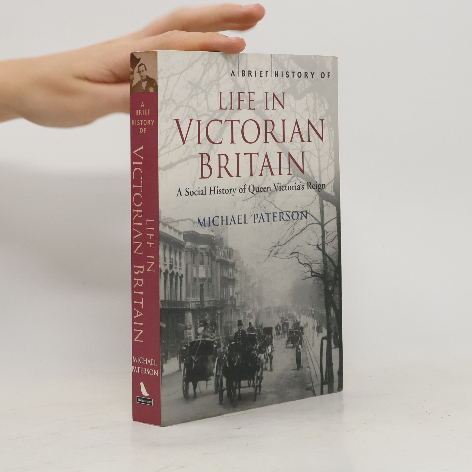 Michael Paterson A Brief History of Life in Victorian Britain
