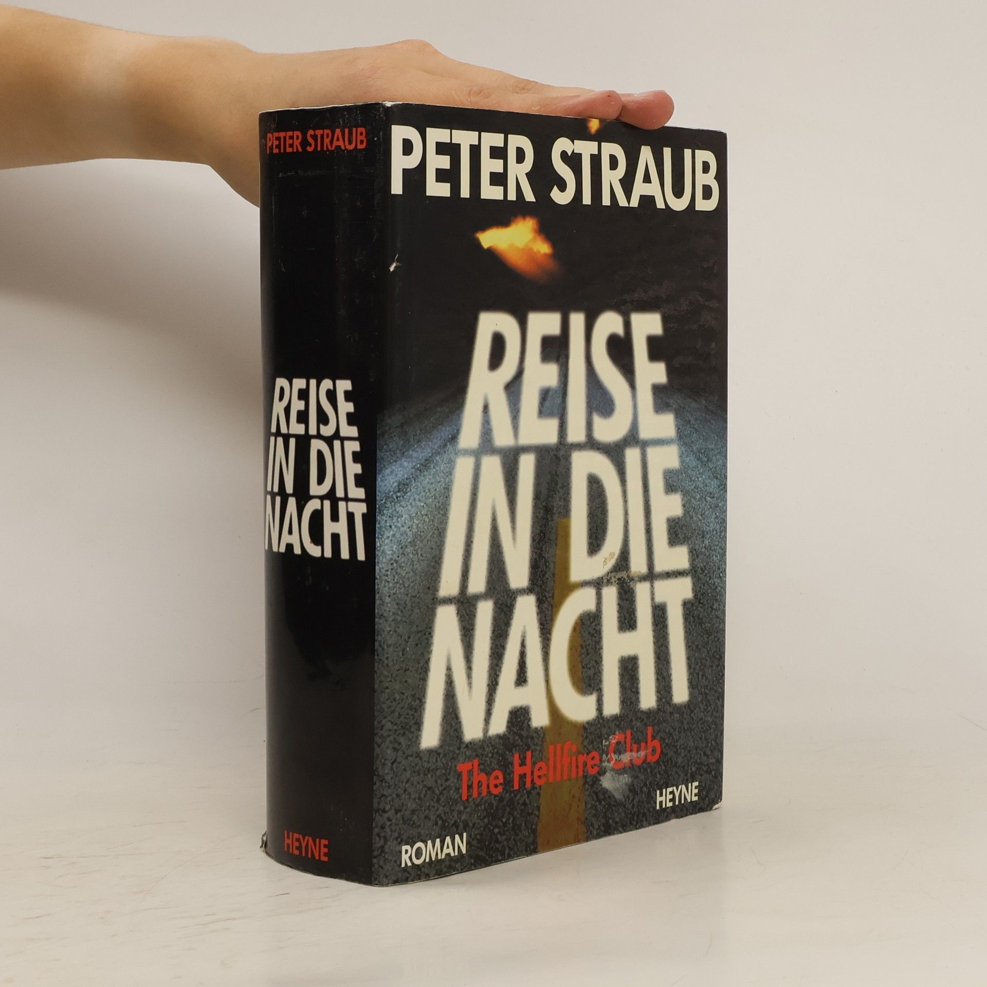 Peter Straub Reise in die Nacht