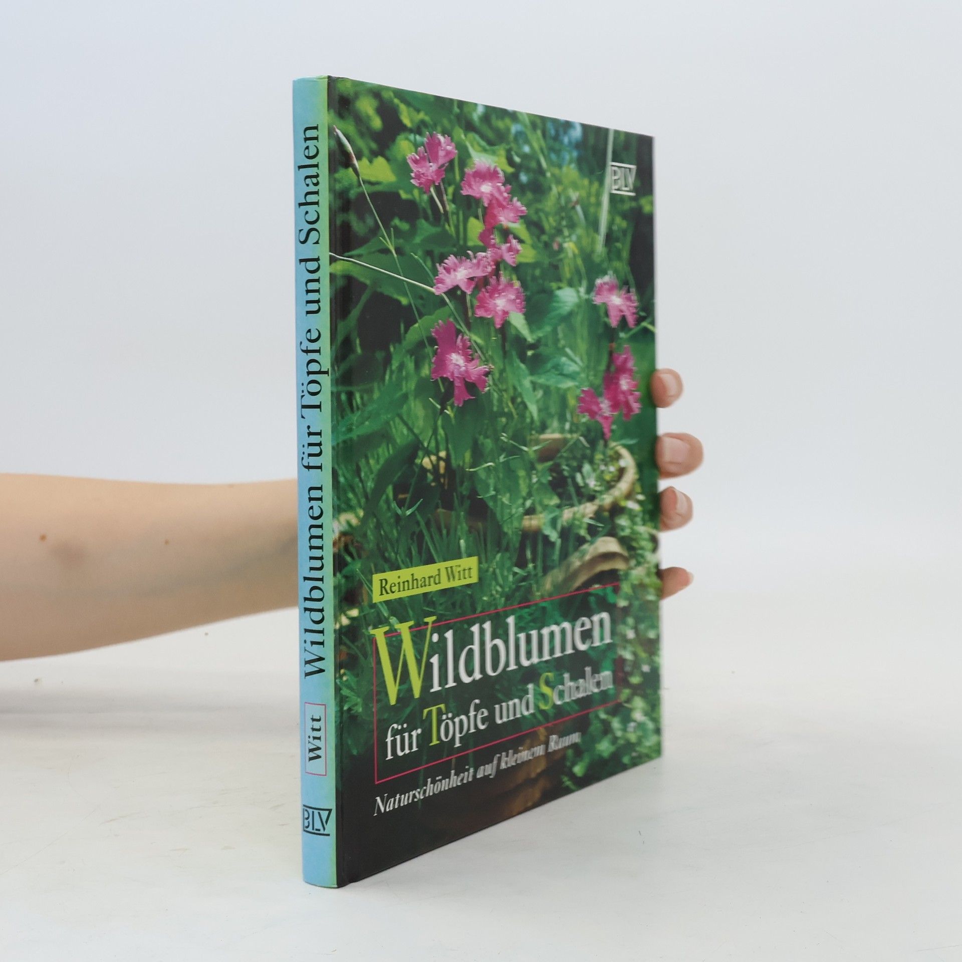 Reinhard Witt Wildblumen für Töpfe und Schalen