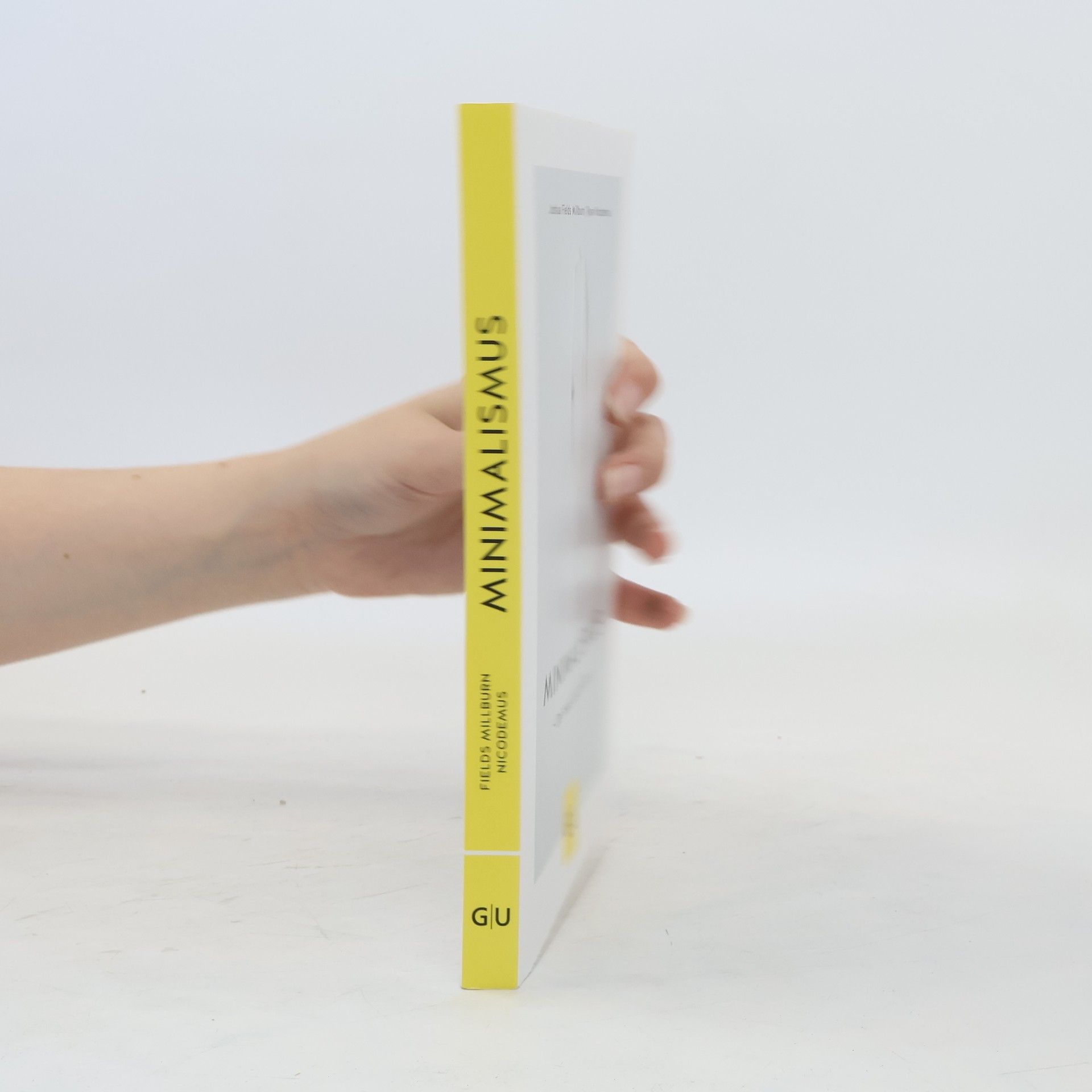 Ryan Nicodemus Minimalismus : der neue Leicht-Sinn