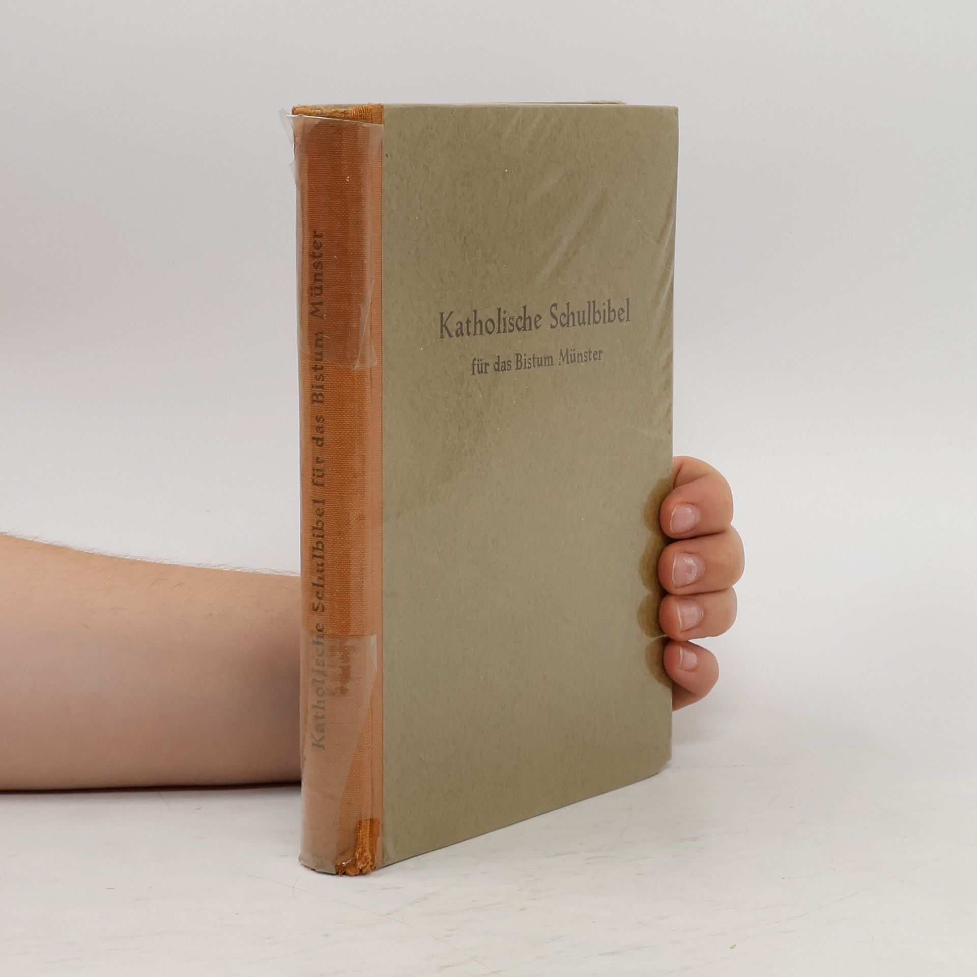 Collectif d'auteurs Katholische Schulbibel
