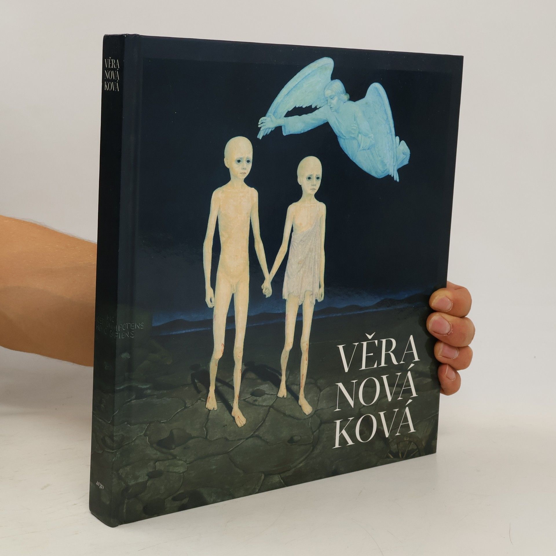 Pavla Pečinková Věra Nováková - monografie