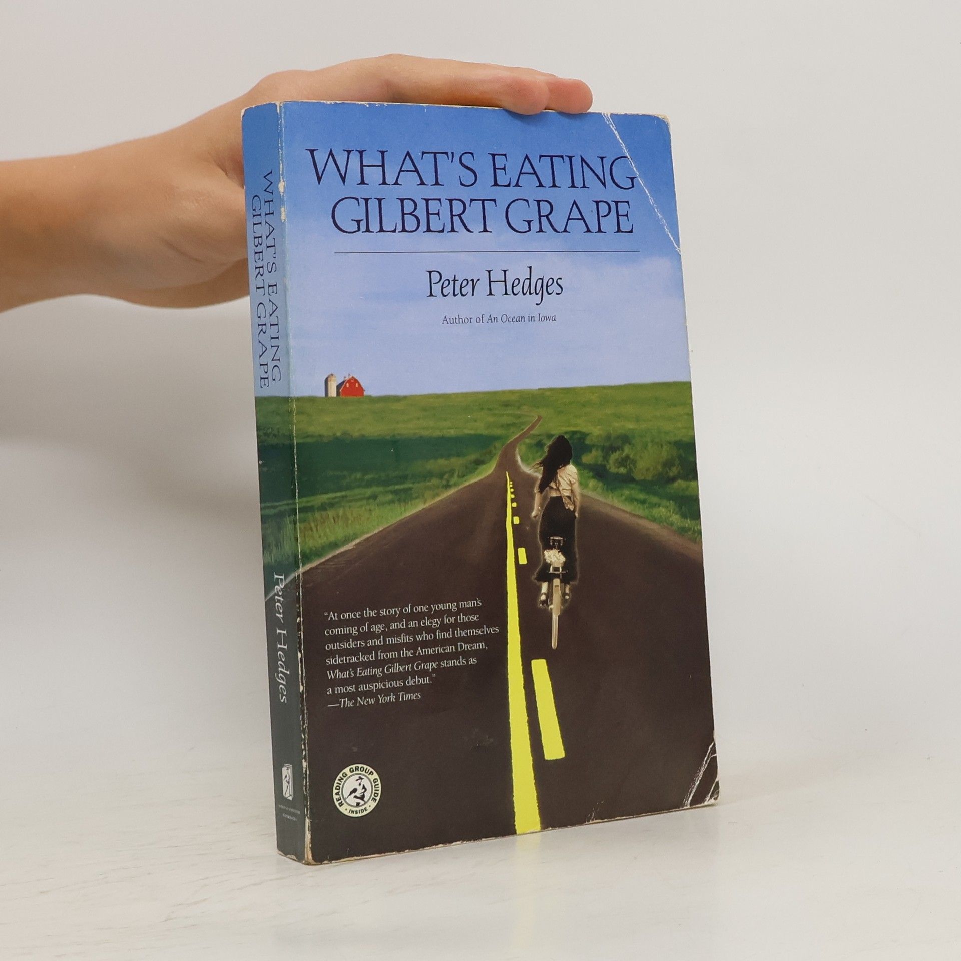 Peter Hedges What's Eating Gilbert Grape?