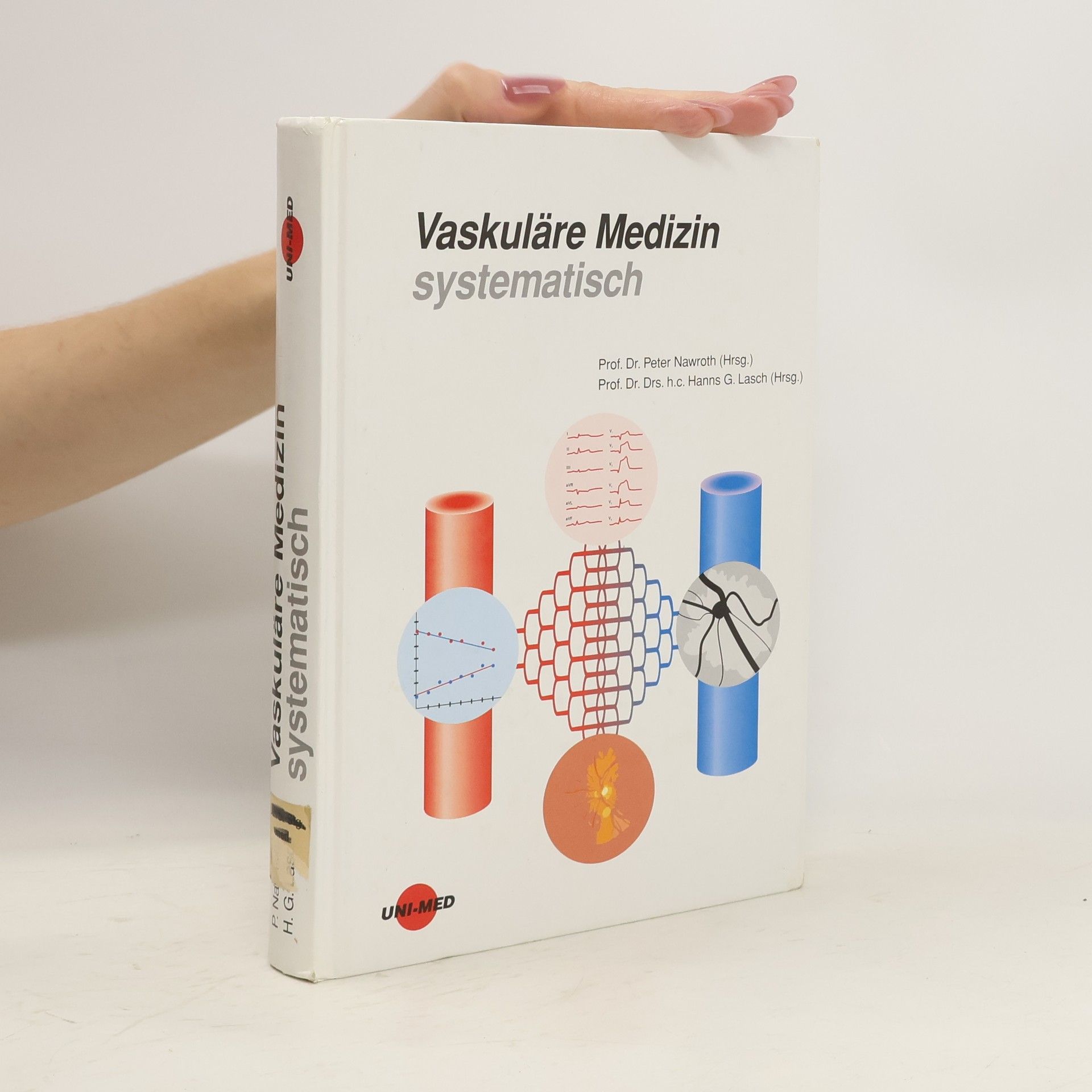 Peter Paul Nawroth Vaskuläre Medizin systematisch