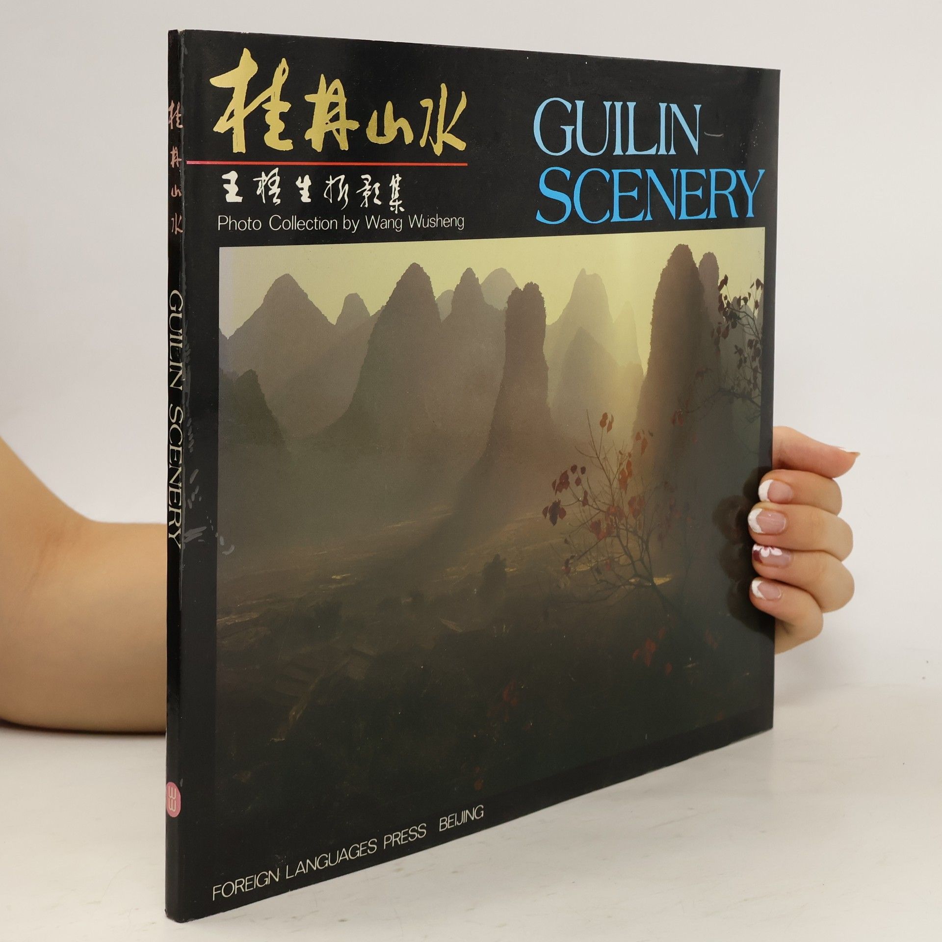 Wang Wusheng 桂林山水 王梧生摄影集. Guilin scenery
