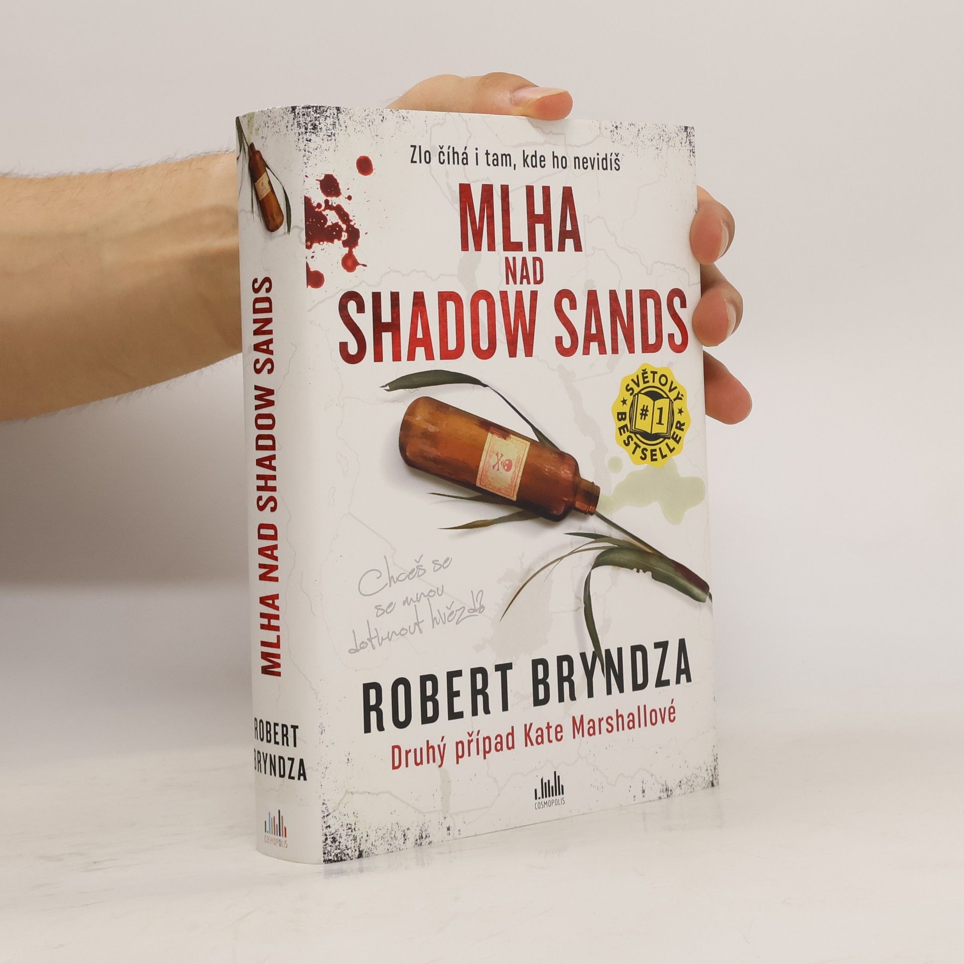 Robert Bryndza Mlha nad Shadow Sands