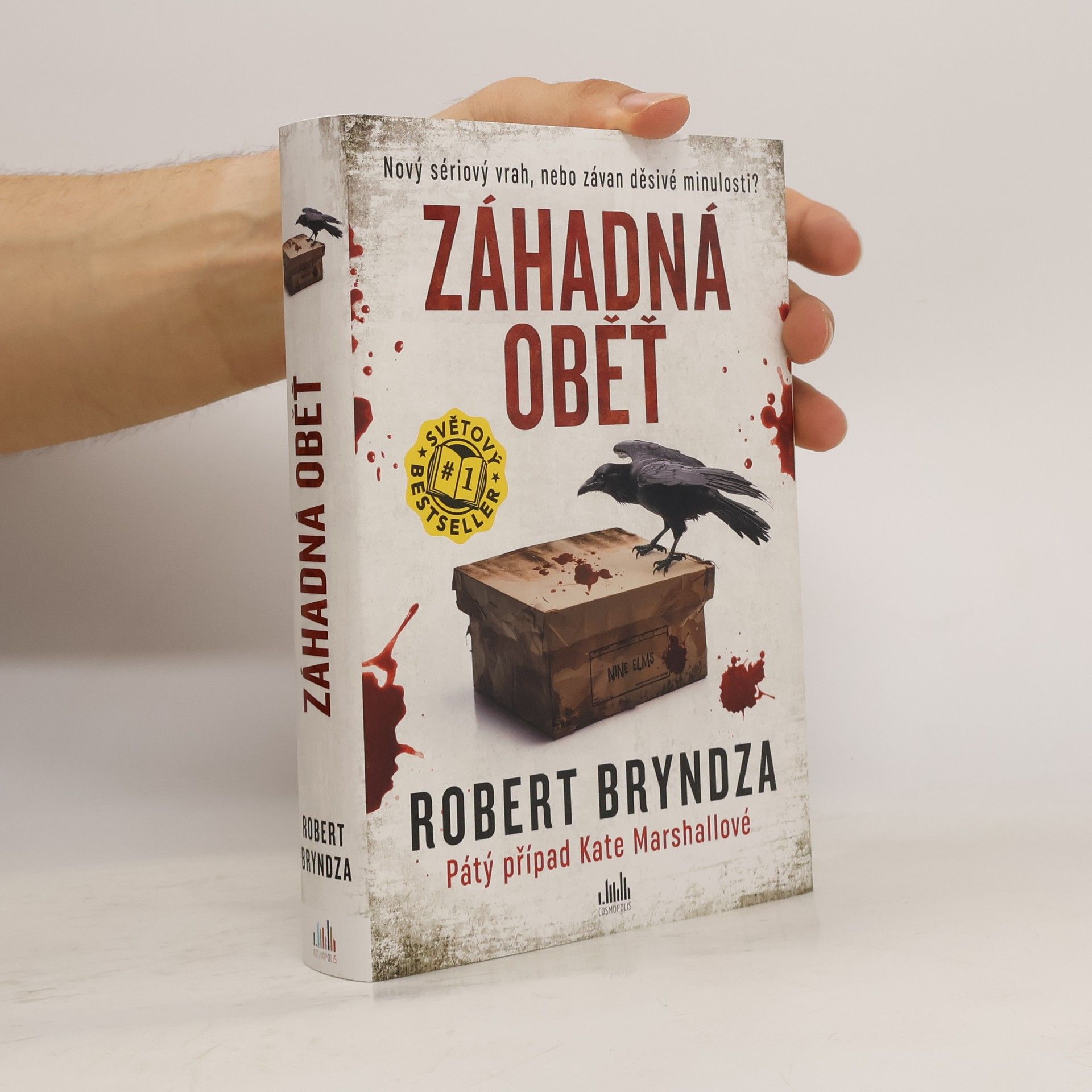 Robert Bryndza Záhadná oběť