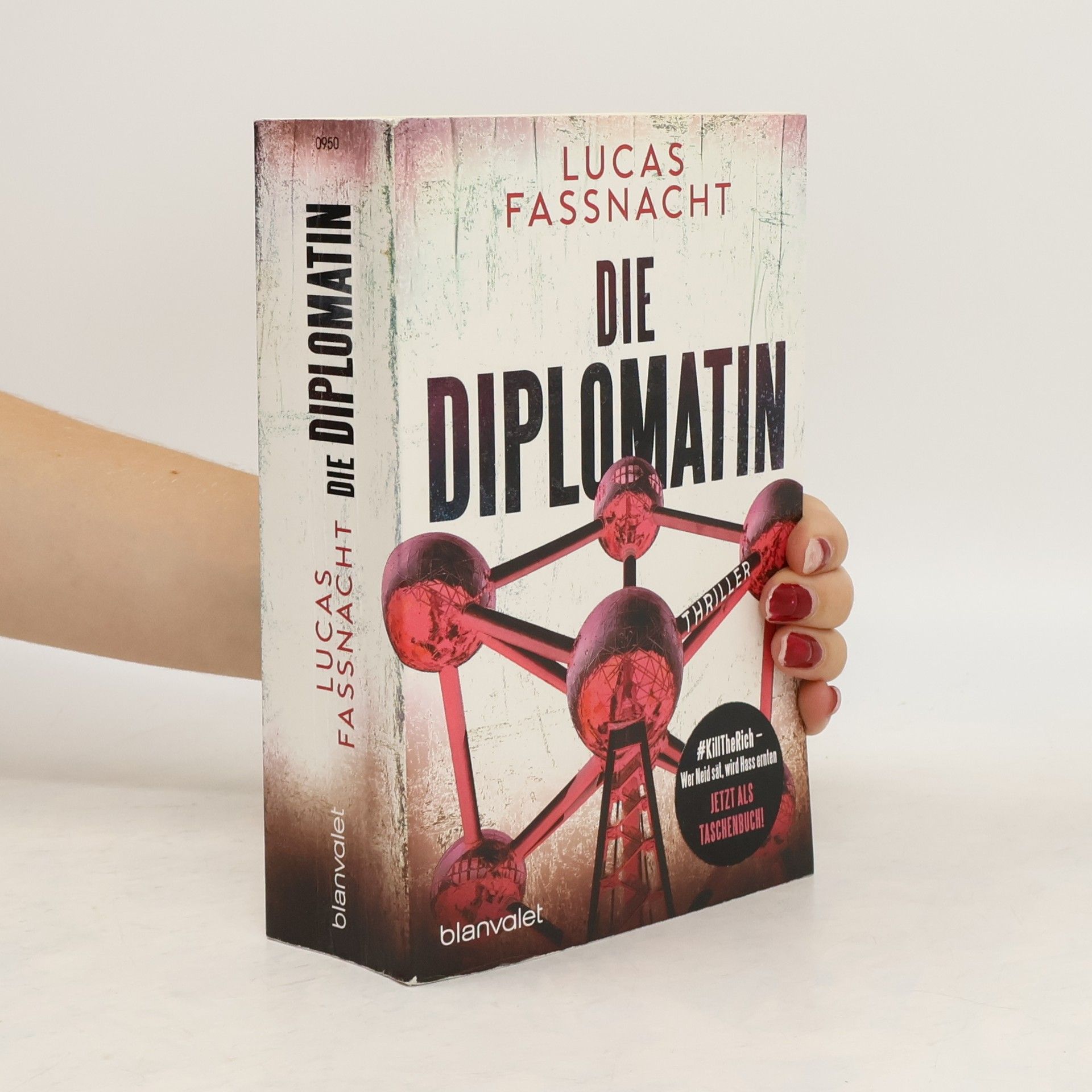 Lucas Fassnacht Die Diplomatin